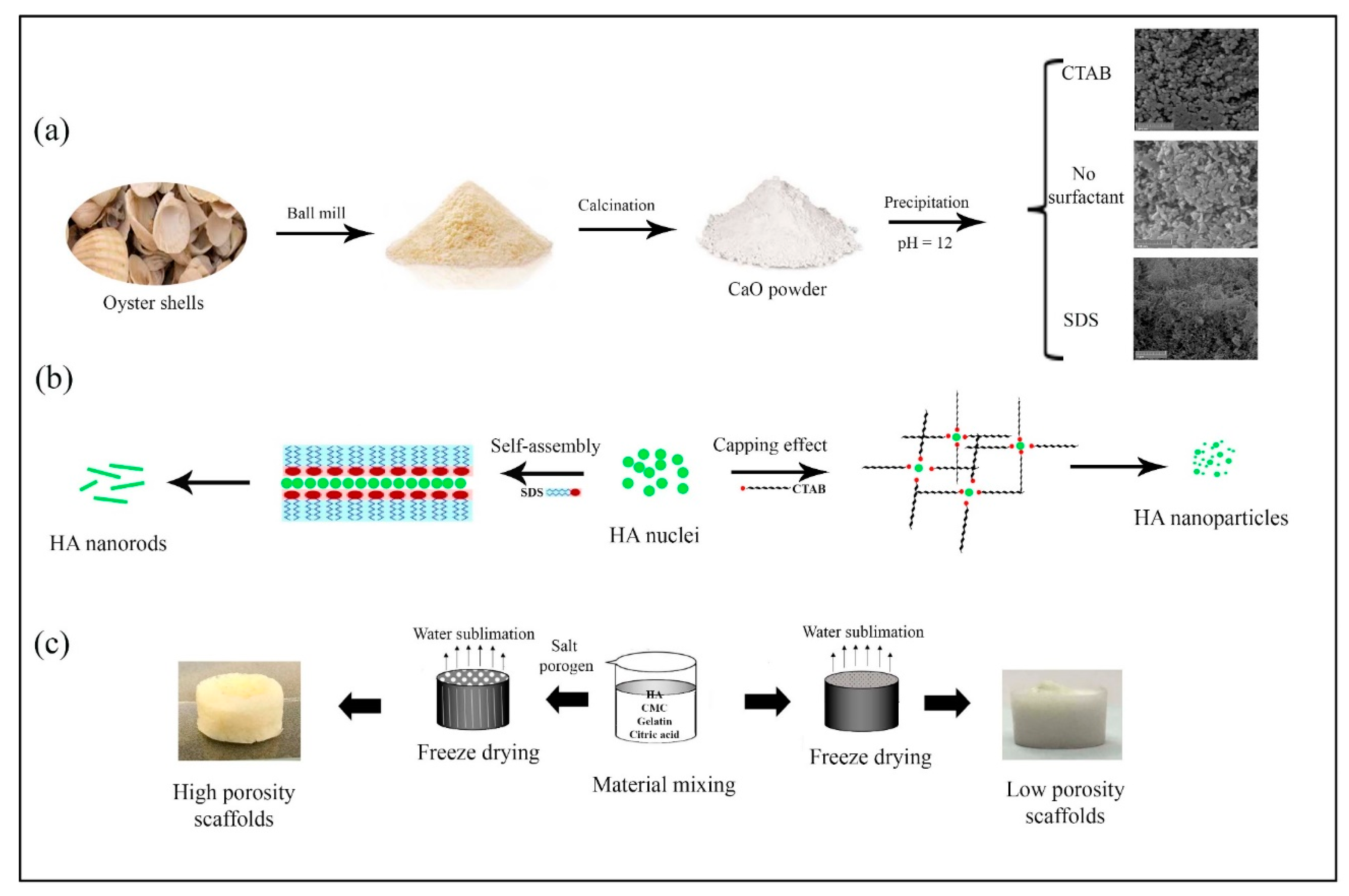Marinedrugs 18 00026 g007 Marinedrugs 18 00026 g007