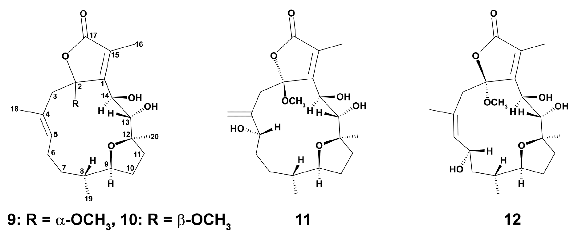 Marinedrugs 18 00037 g002 Marinedrugs 18 00037 g002