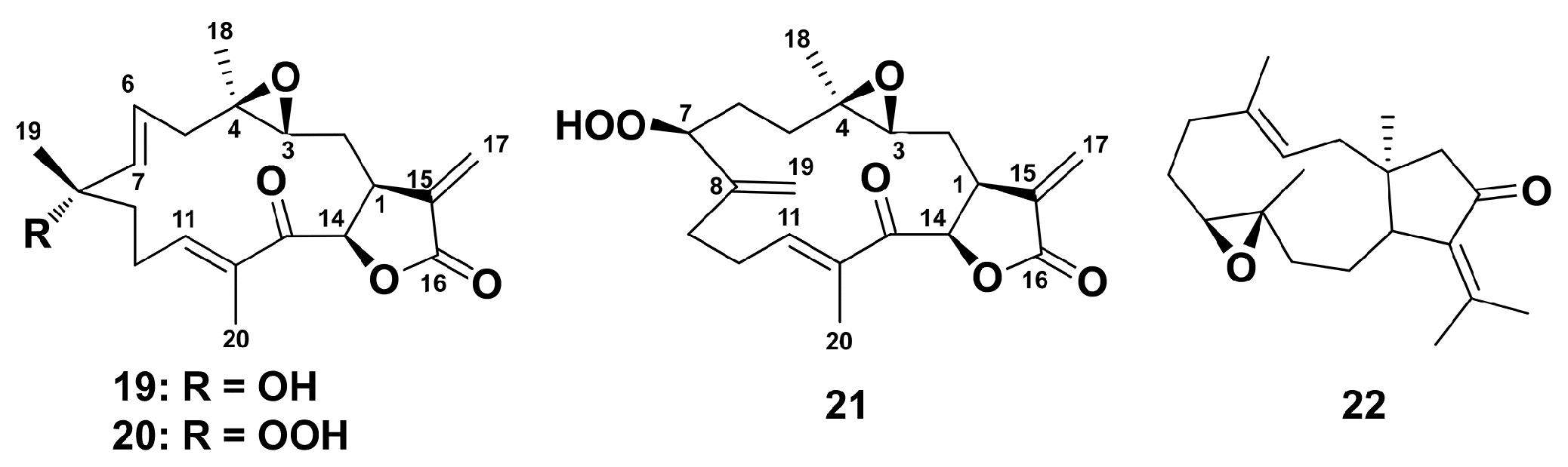 Marinedrugs 18 00037 g005 Marinedrugs 18 00037 g005