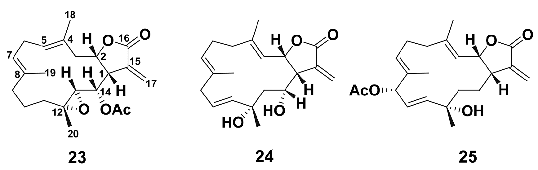 Marinedrugs 18 00037 g006 Marinedrugs 18 00037 g006