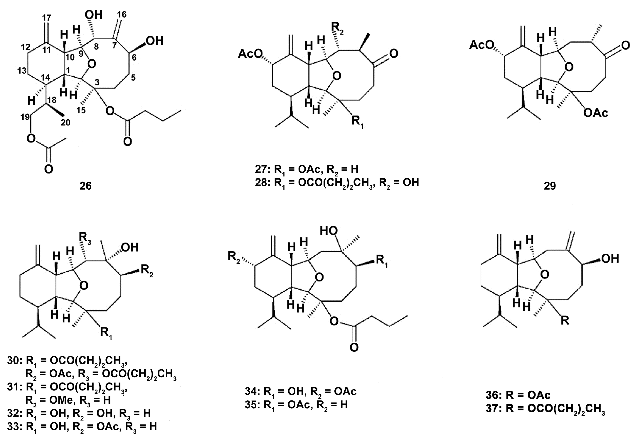 Marinedrugs 18 00037 g007 Marinedrugs 18 00037 g007