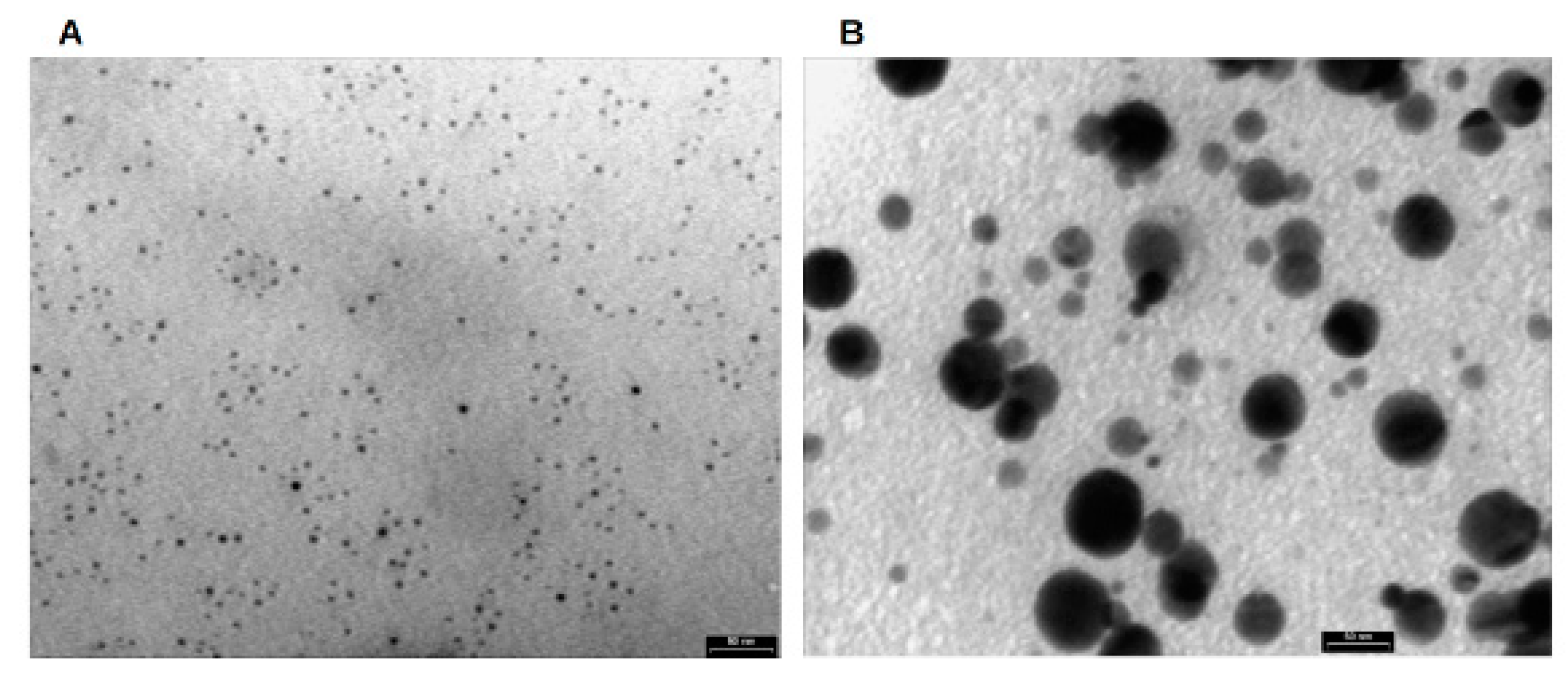 Marinedrugs 18 00038 g001 Marinedrugs 18 00038 g001