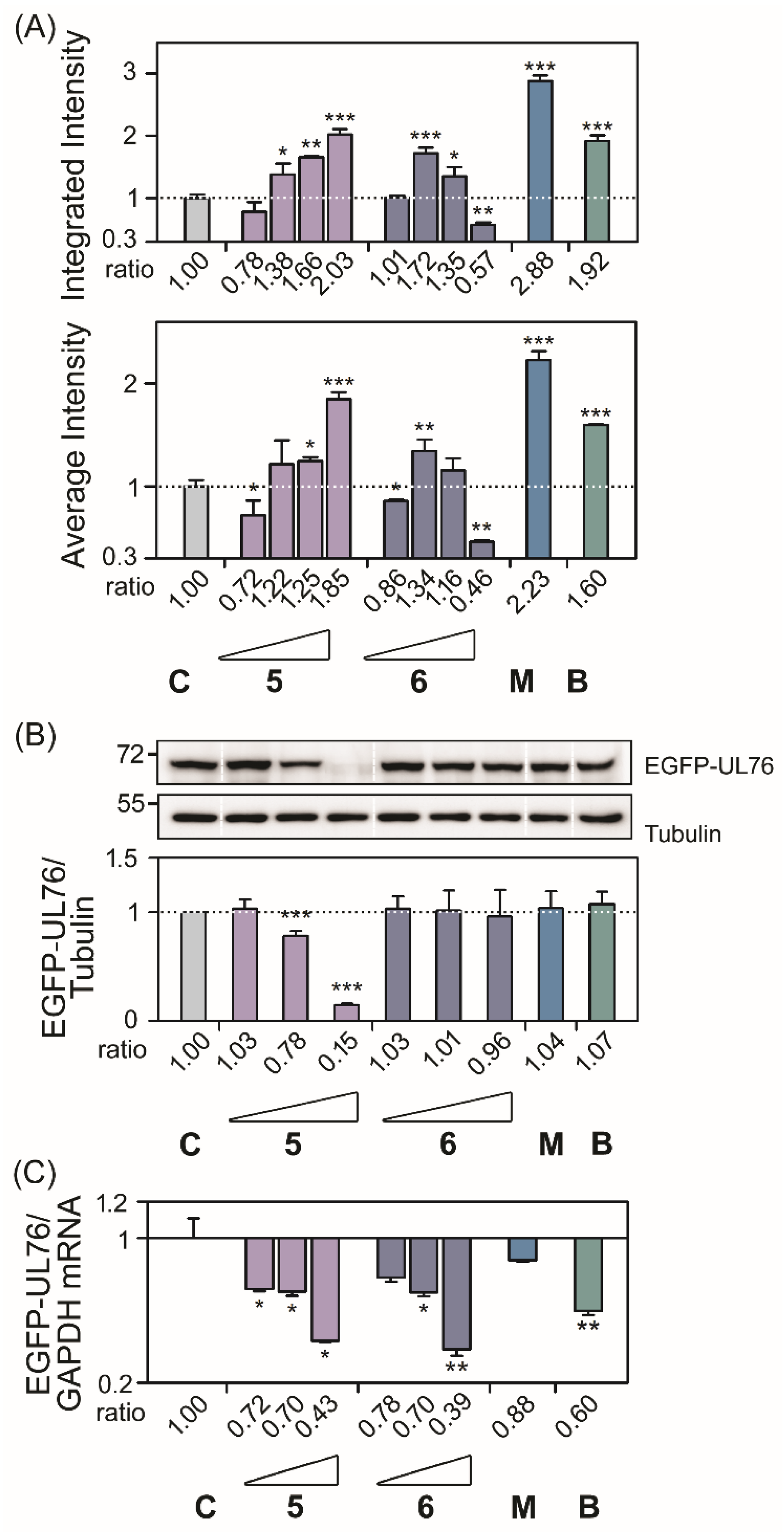 Marinedrugs 18 00039 g003