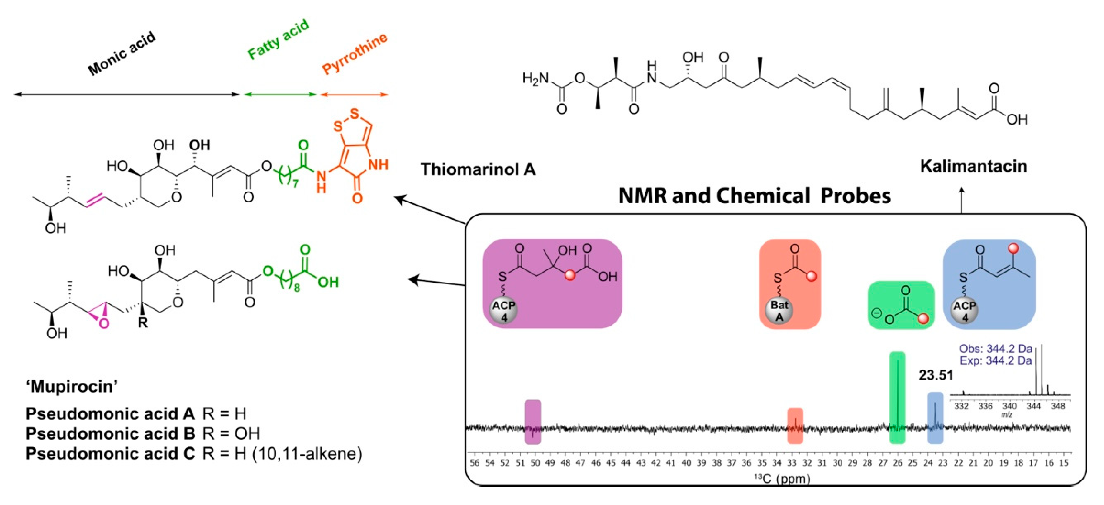 Marine Drugs Free Full Text Xvi International Symposium On Marine Natural Products Xi European Conference On Marine Natural Products Html