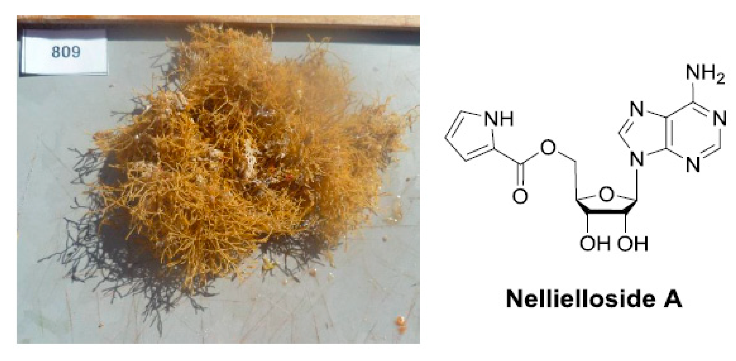 Marinedrugs 18 00040 i007 550