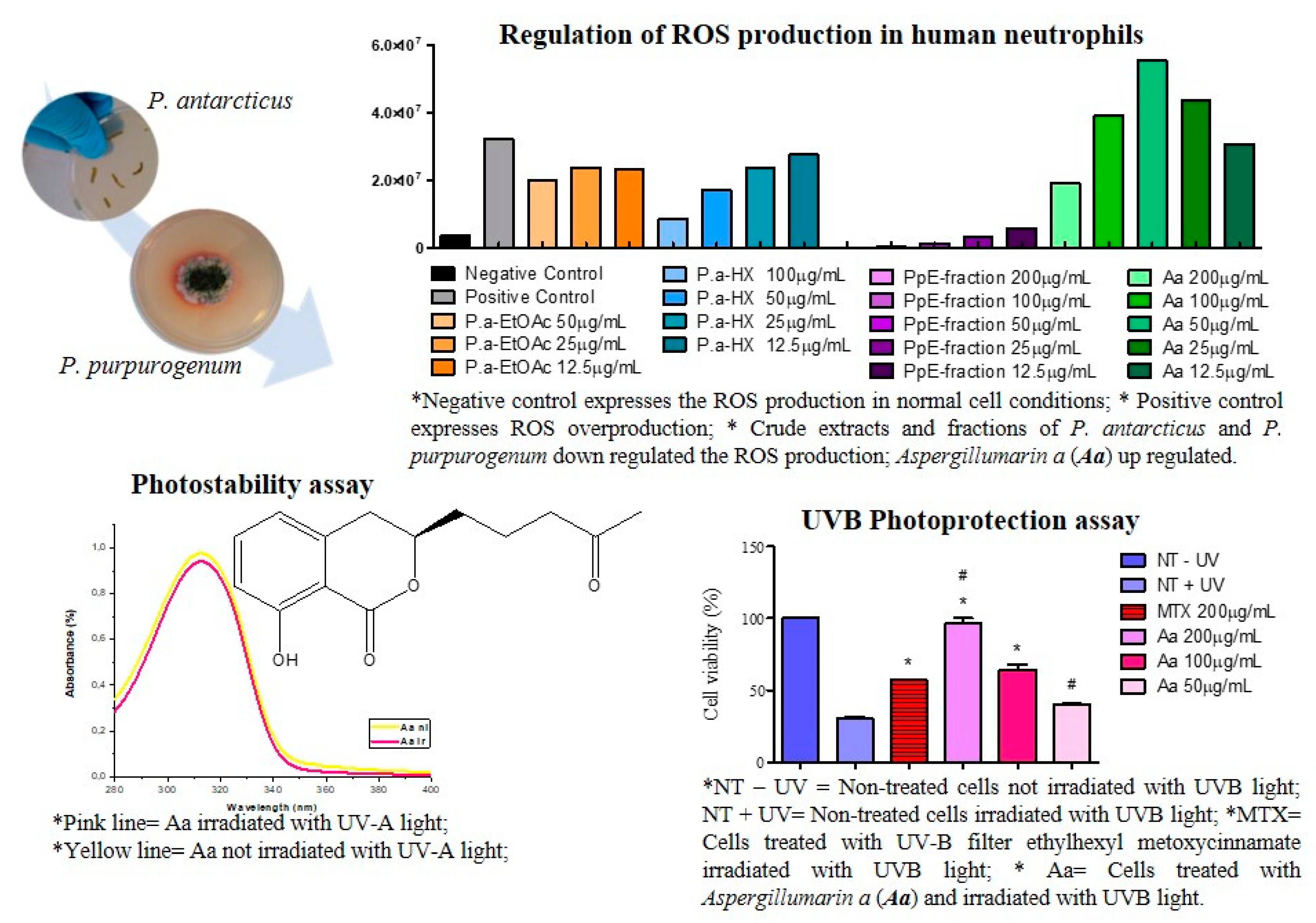 Marine Drugs Free Full Text Xvi International Symposium On Marine Natural Products Xi European Conference On Marine Natural Products Html