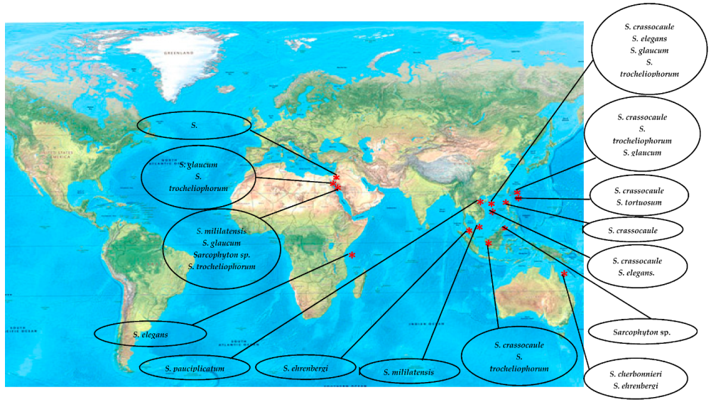 Marinedrugs 18 00041 g001 Marinedrugs 18 00041 g001