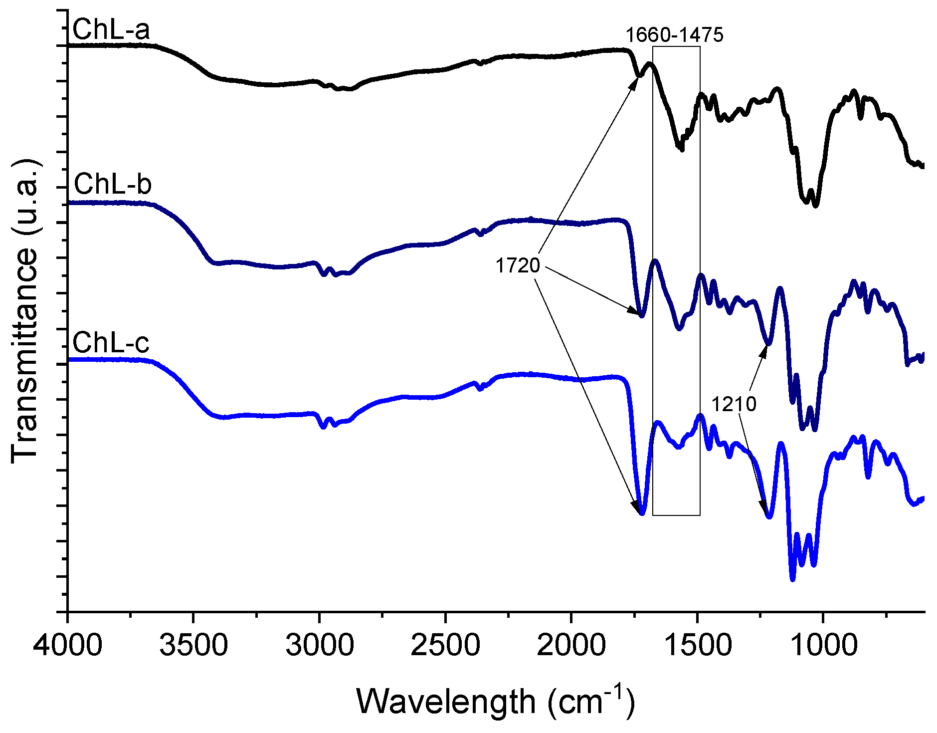 Marinedrugs 18 00044 g003 Marinedrugs 18 00044 g003