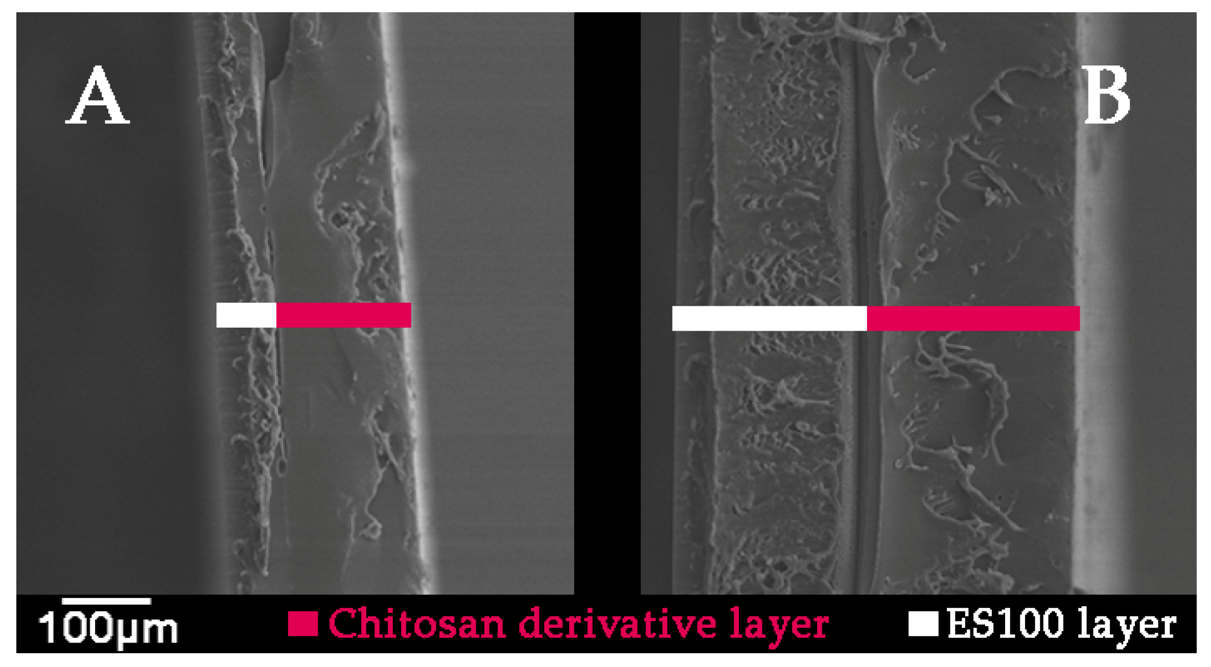 Marinedrugs 18 00044 g007 Marinedrugs 18 00044 g007