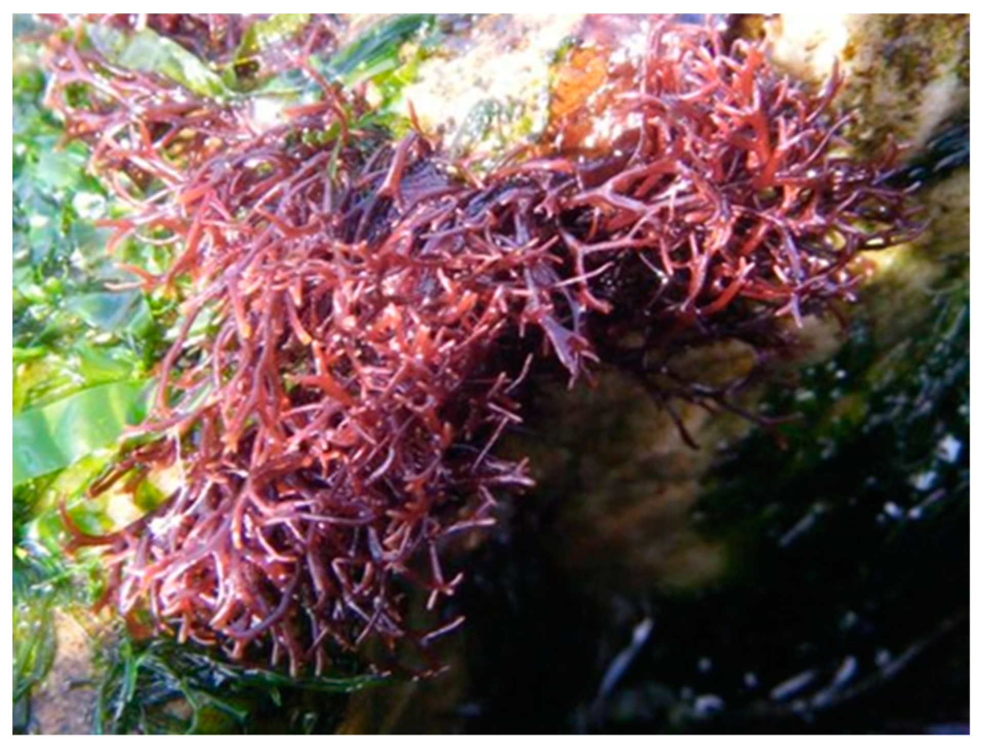 Marinedrugs 18 00050 g002