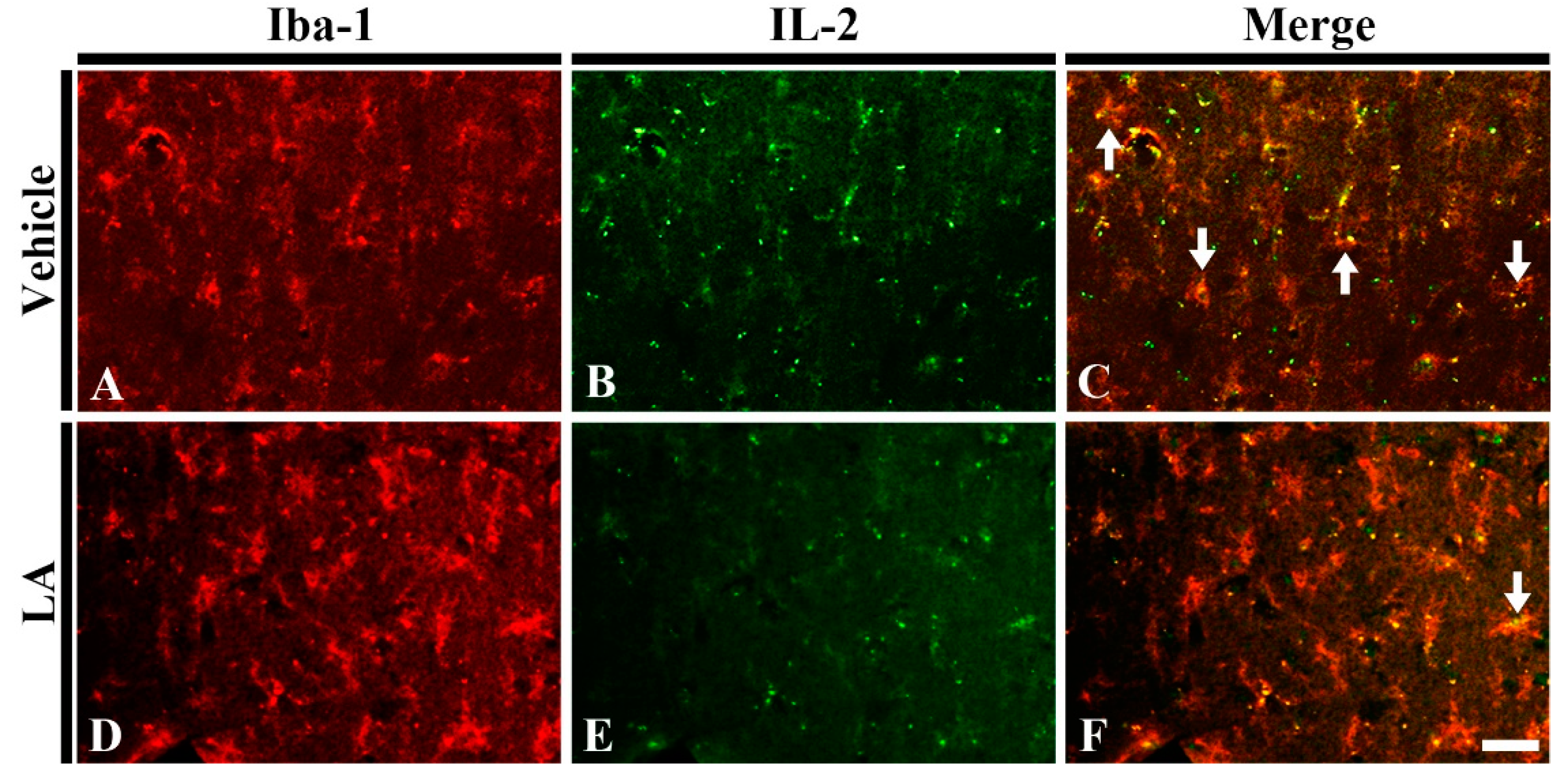 Marinedrugs 18 00052 g006