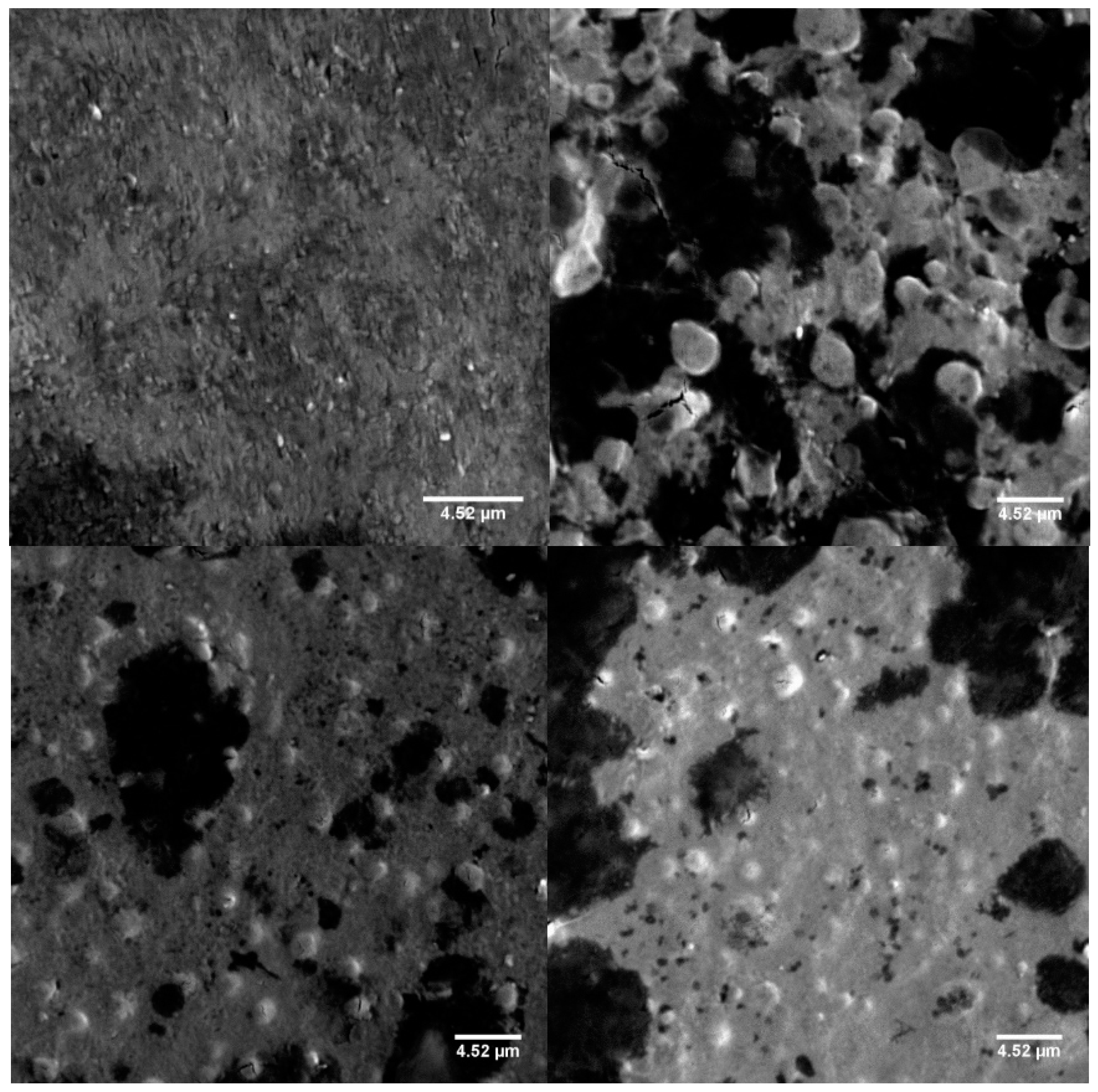 Marinedrugs 18 00055 g006