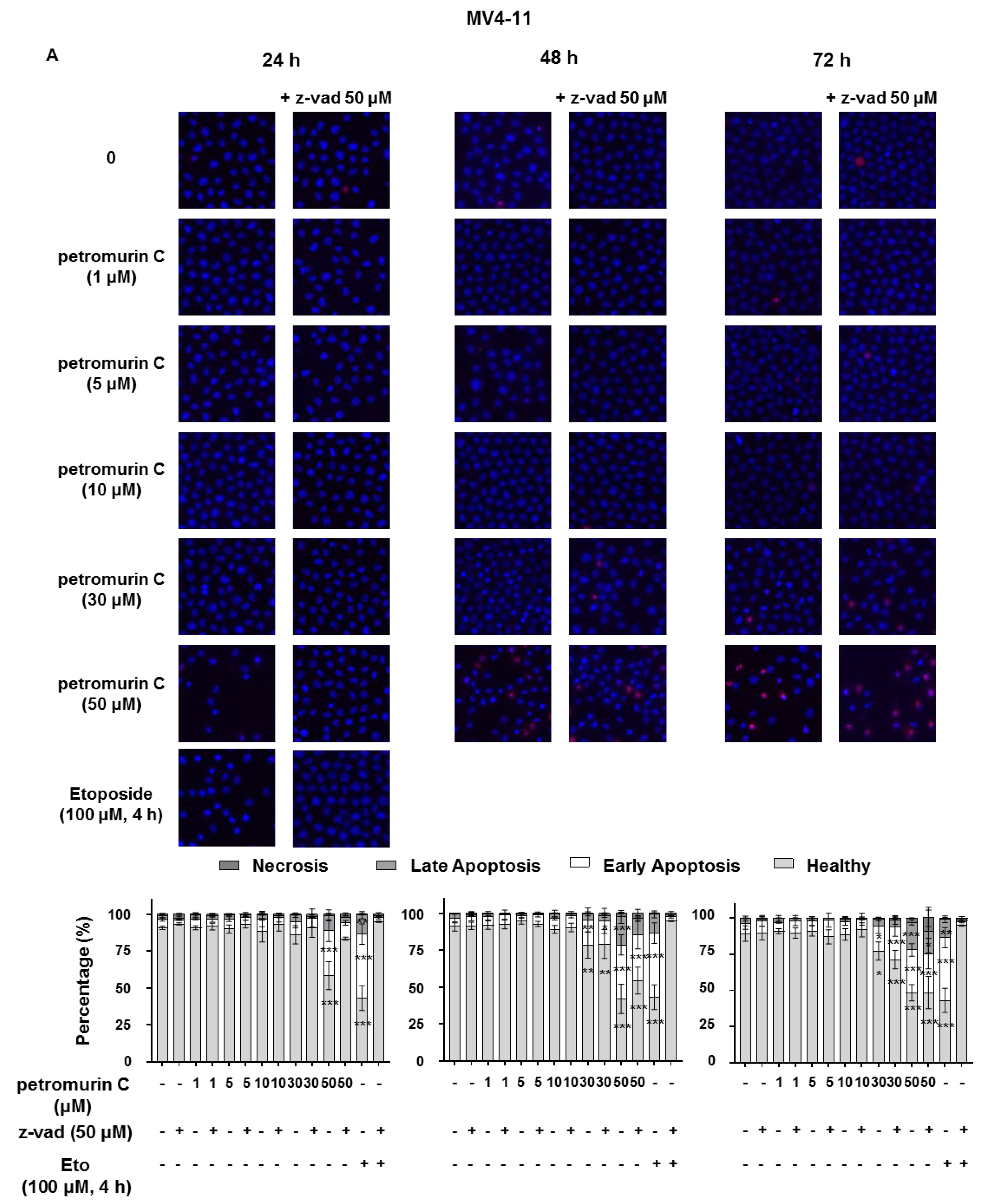 Marinedrugs 18 00057 g003a Marinedrugs 18 00057 g003a