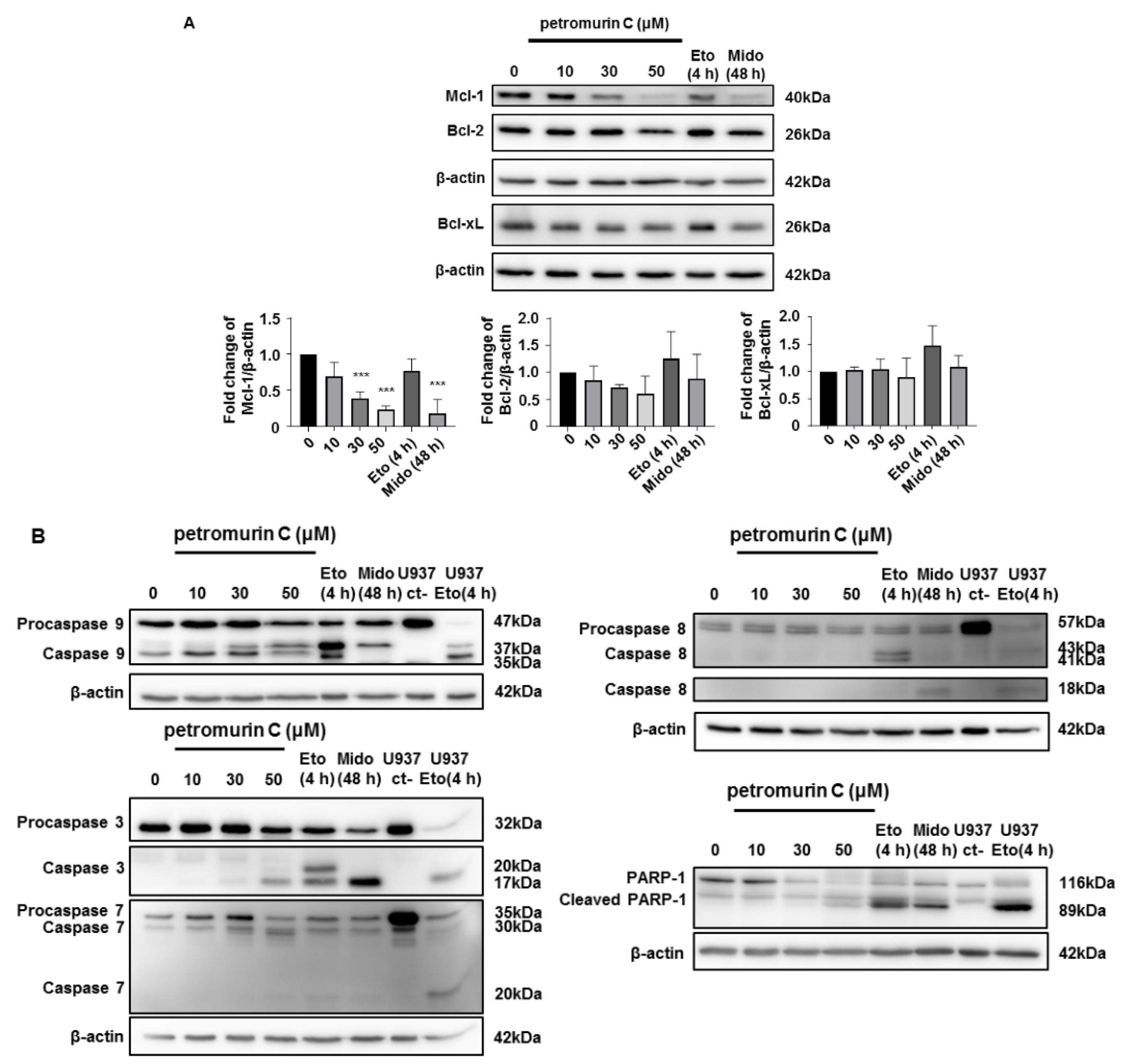 Marinedrugs 18 00057 g004 Marinedrugs 18 00057 g004