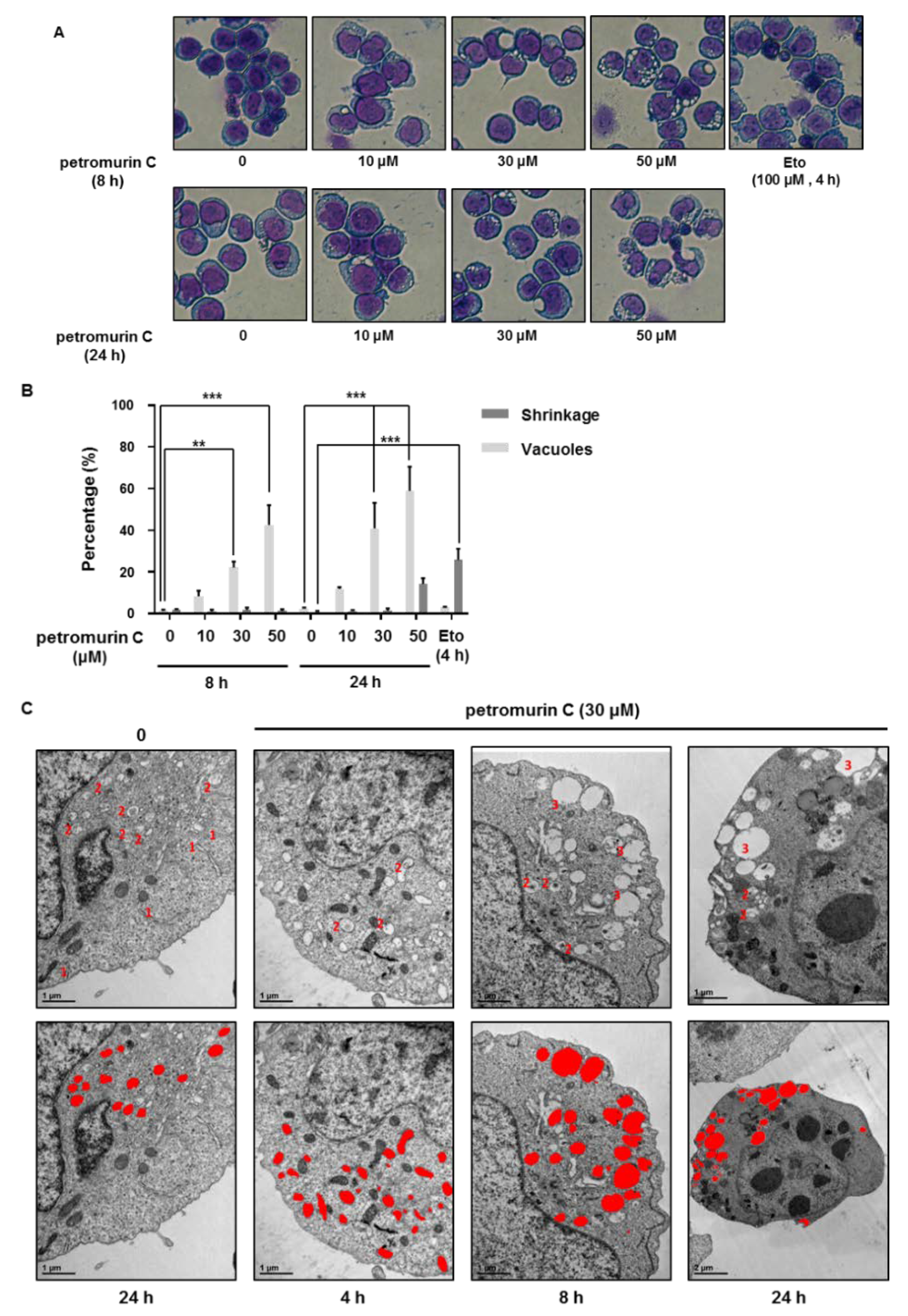 Marinedrugs 18 00057 g005 Marinedrugs 18 00057 g005