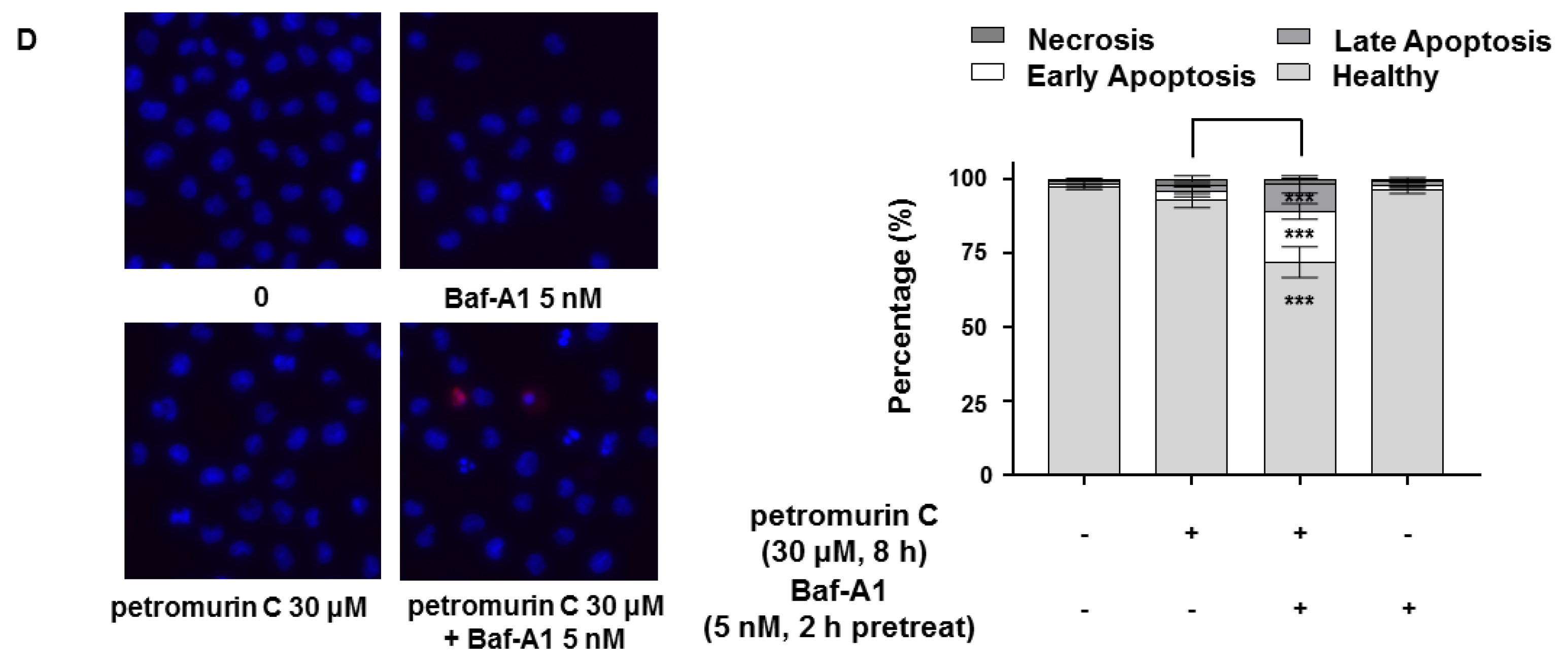 Marinedrugs 18 00057 g006b Marinedrugs 18 00057 g006b