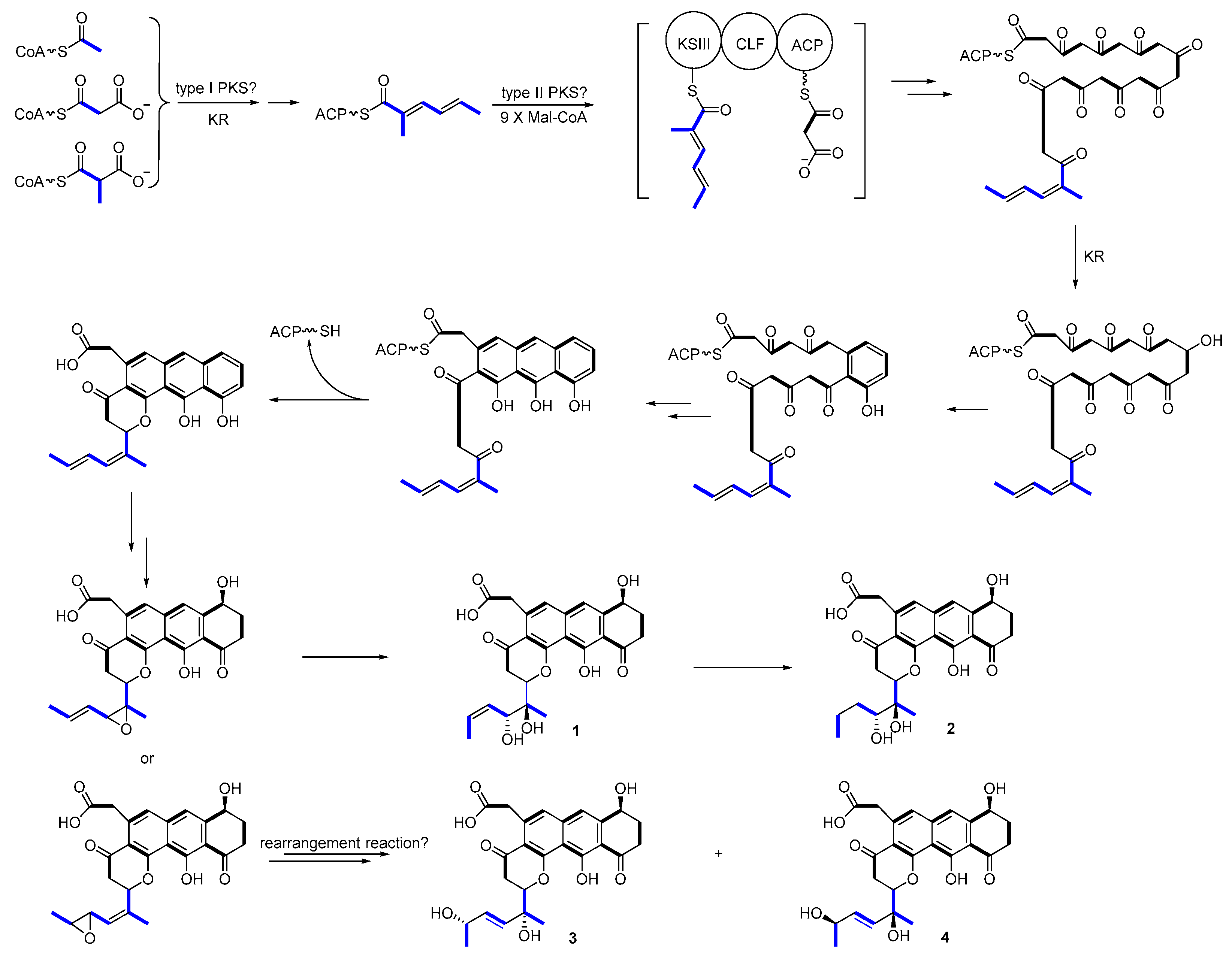 Marinedrugs 18 00058 g008 Marinedrugs 18 00058 g008
