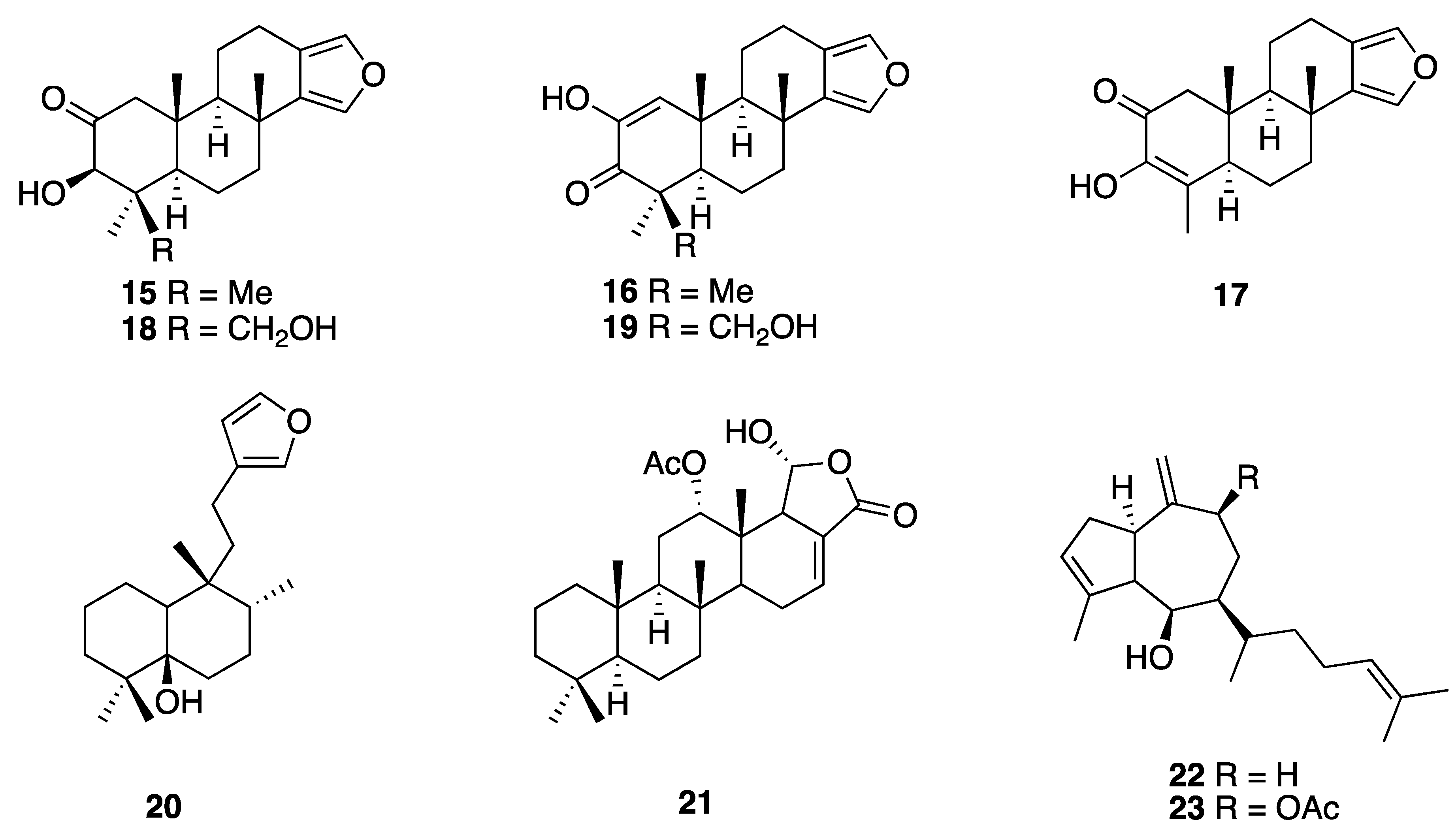 Marinedrugs 18 00059 g004 Marinedrugs 18 00059 g004