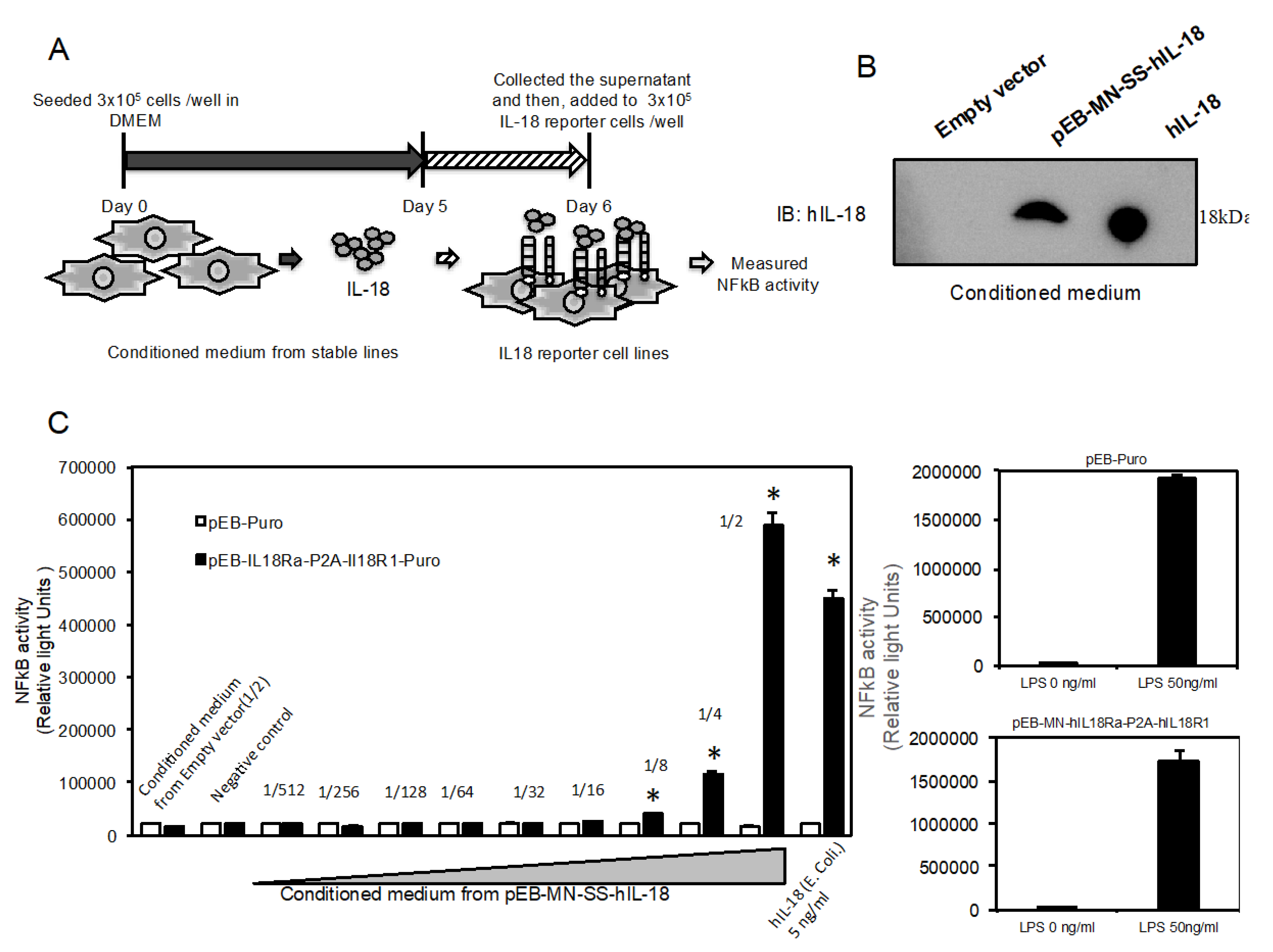 Marinedrugs 18 00060 g004 Marinedrugs 18 00060 g004