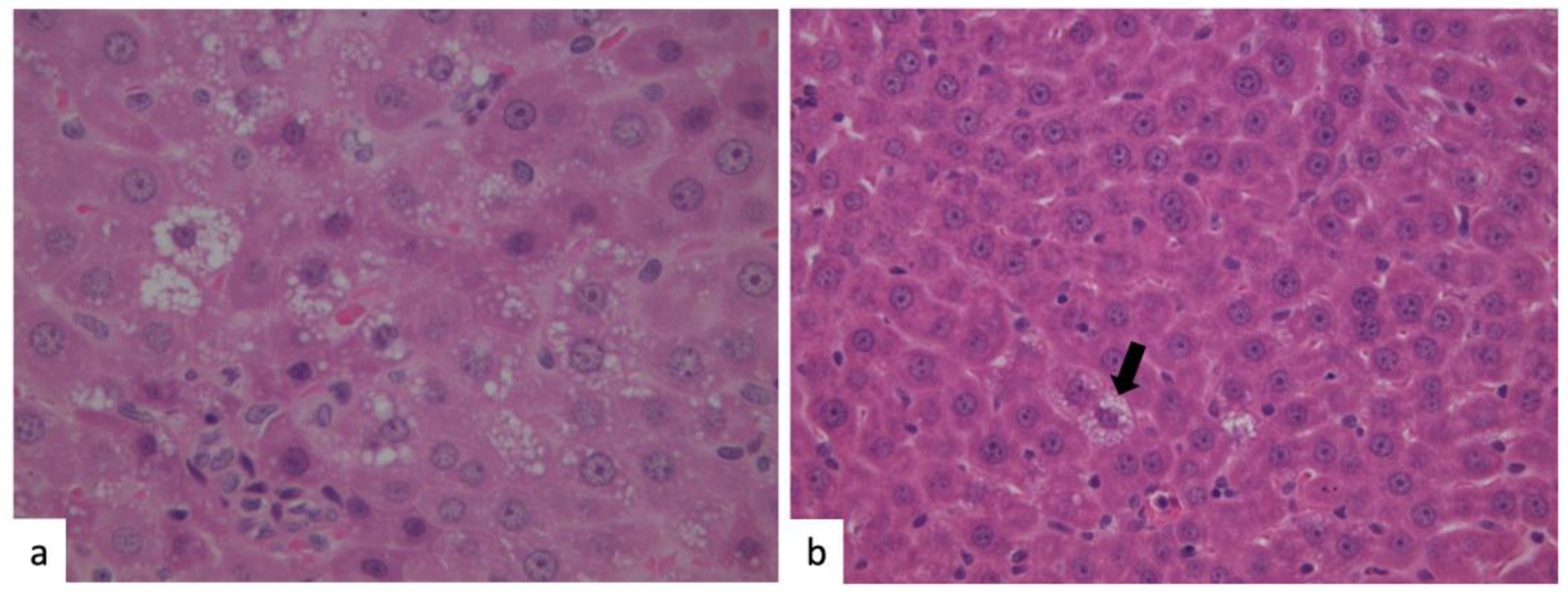 Marinedrugs 18 00062 g002