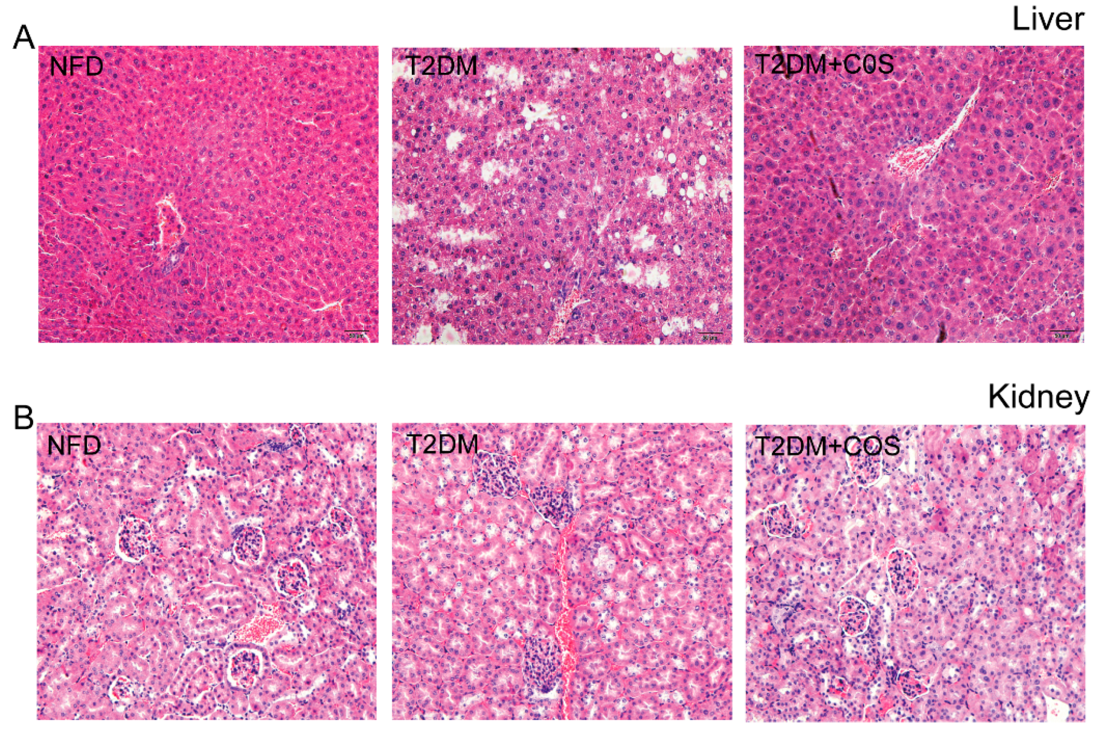 Marinedrugs 18 00069 g002 Marinedrugs 18 00069 g002