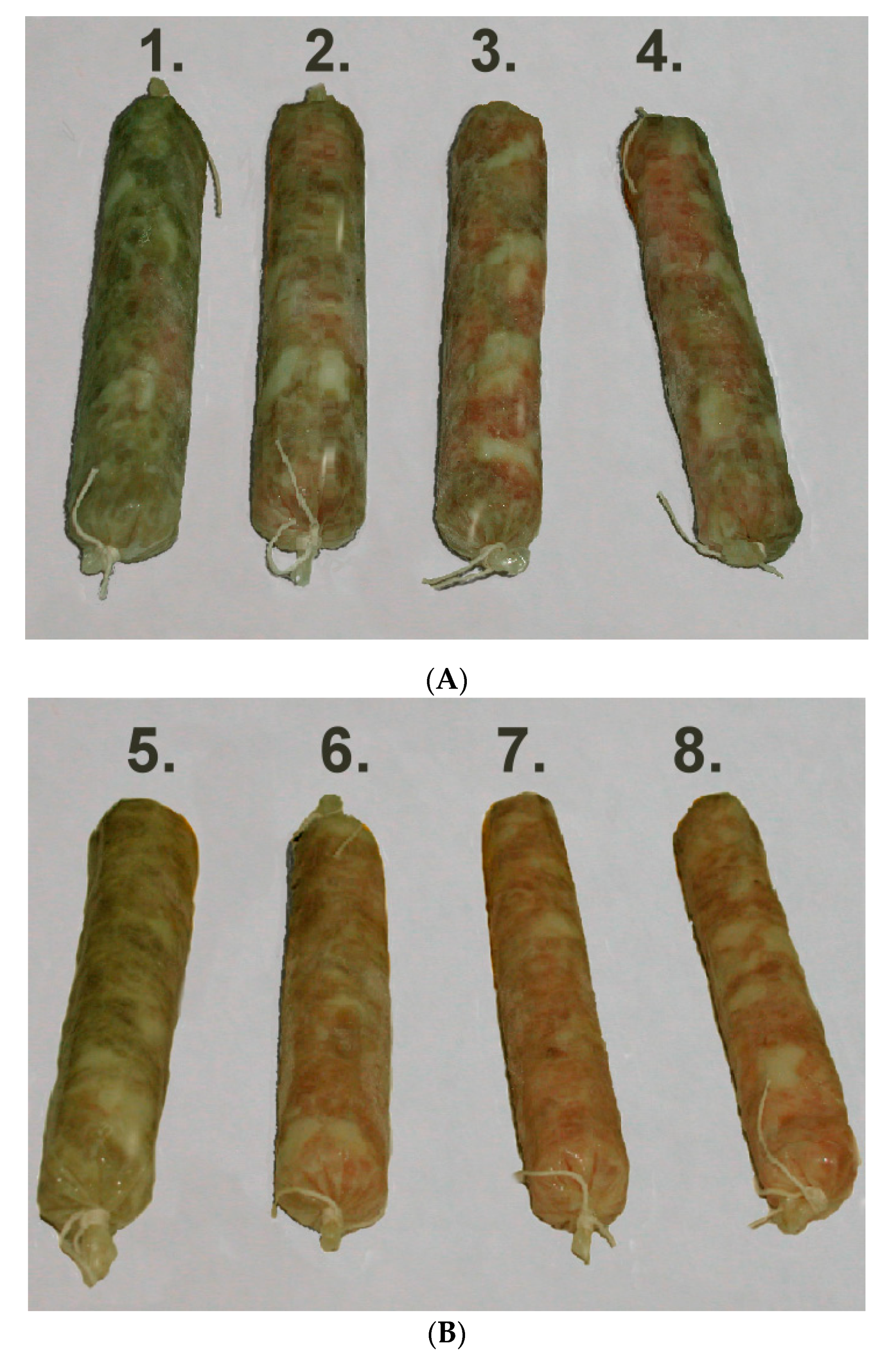 Marinedrugs 18 00070 g004