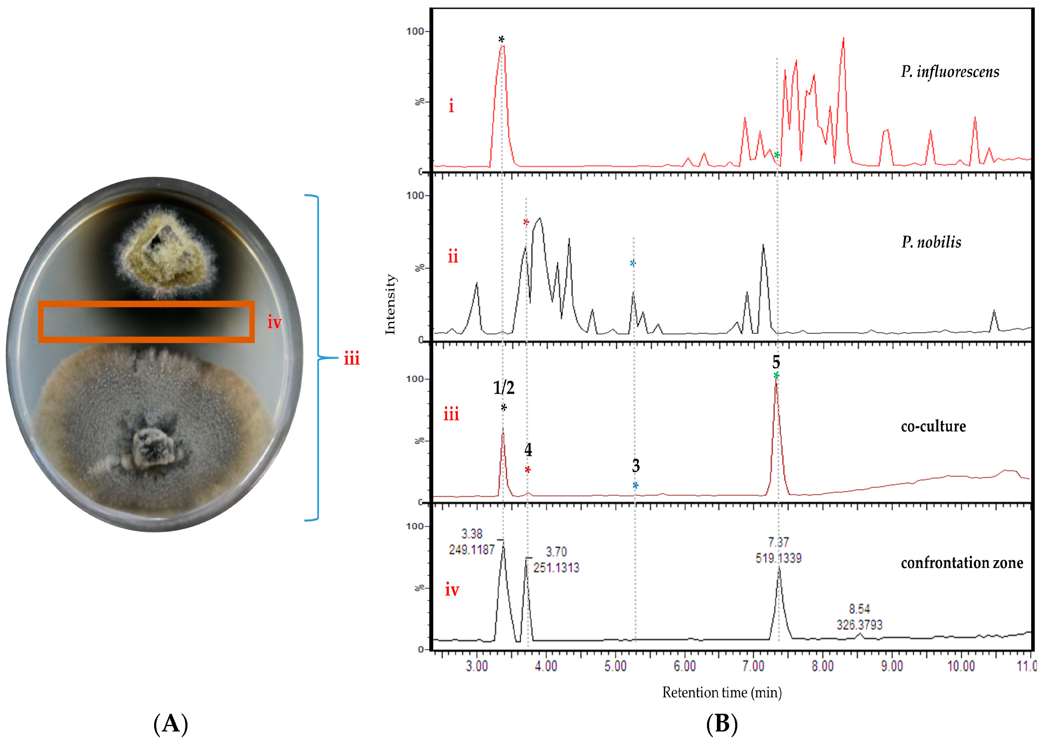 Marinedrugs 18 00073 g002