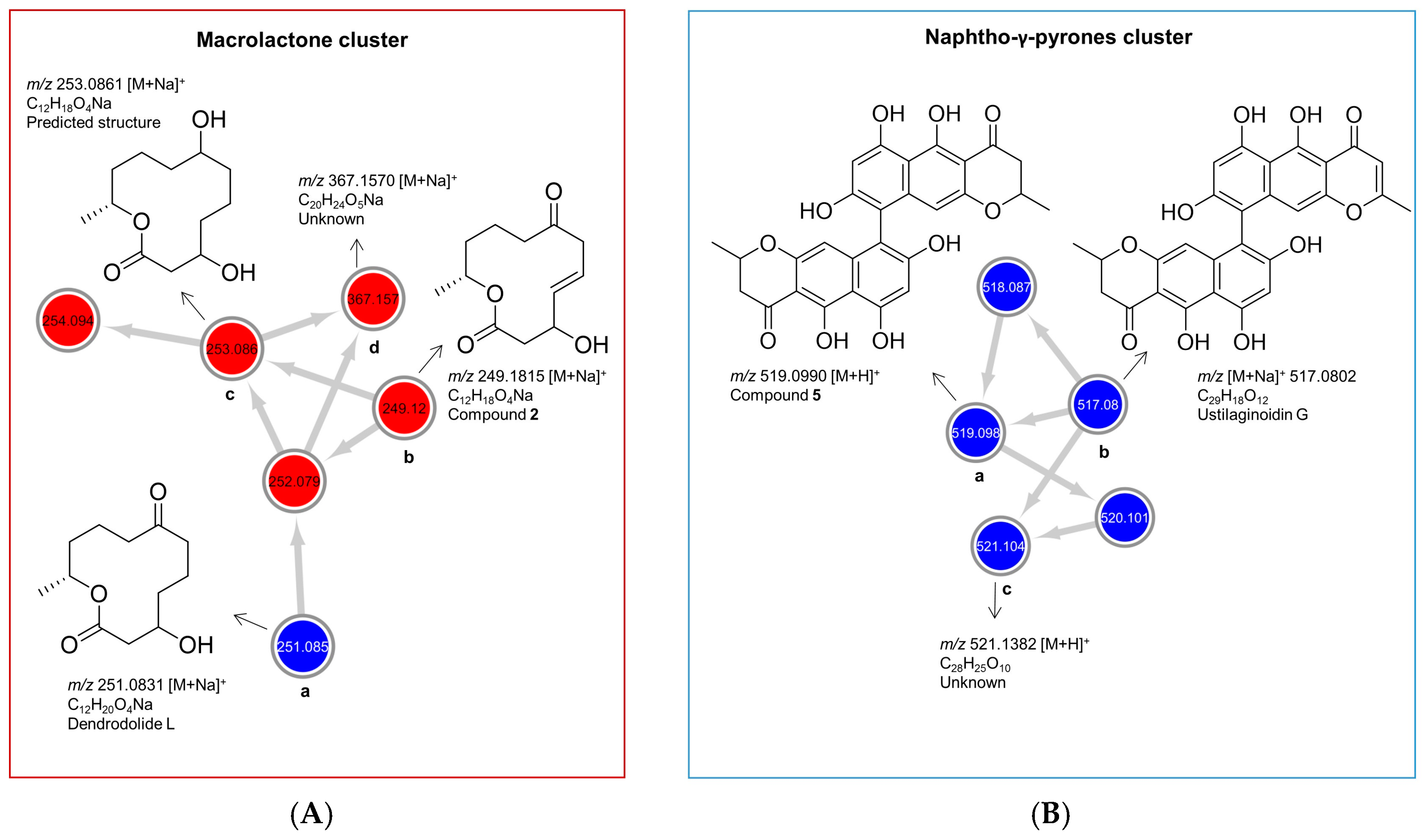 Marinedrugs 18 00073 g004