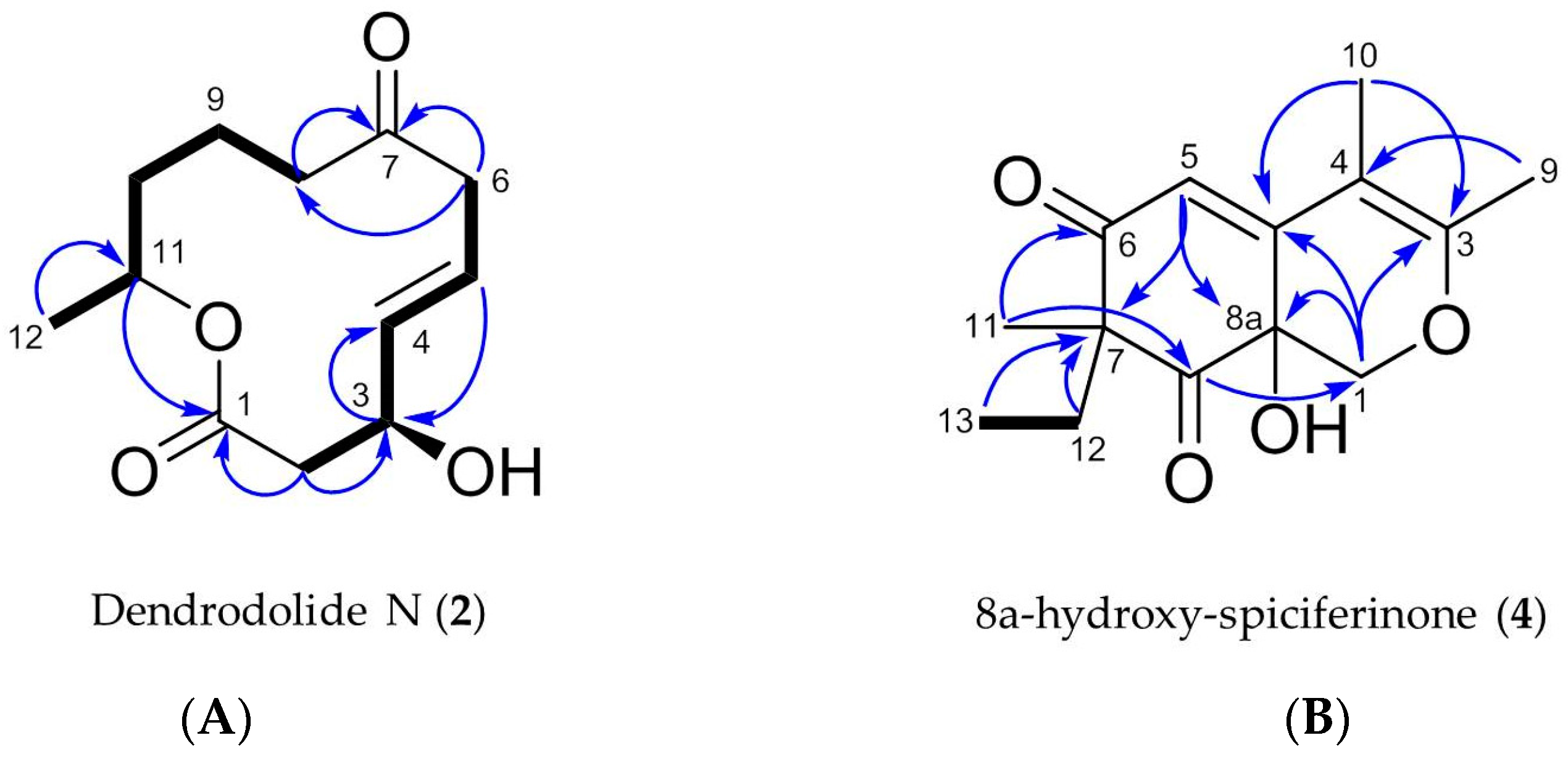 Marinedrugs 18 00073 g006