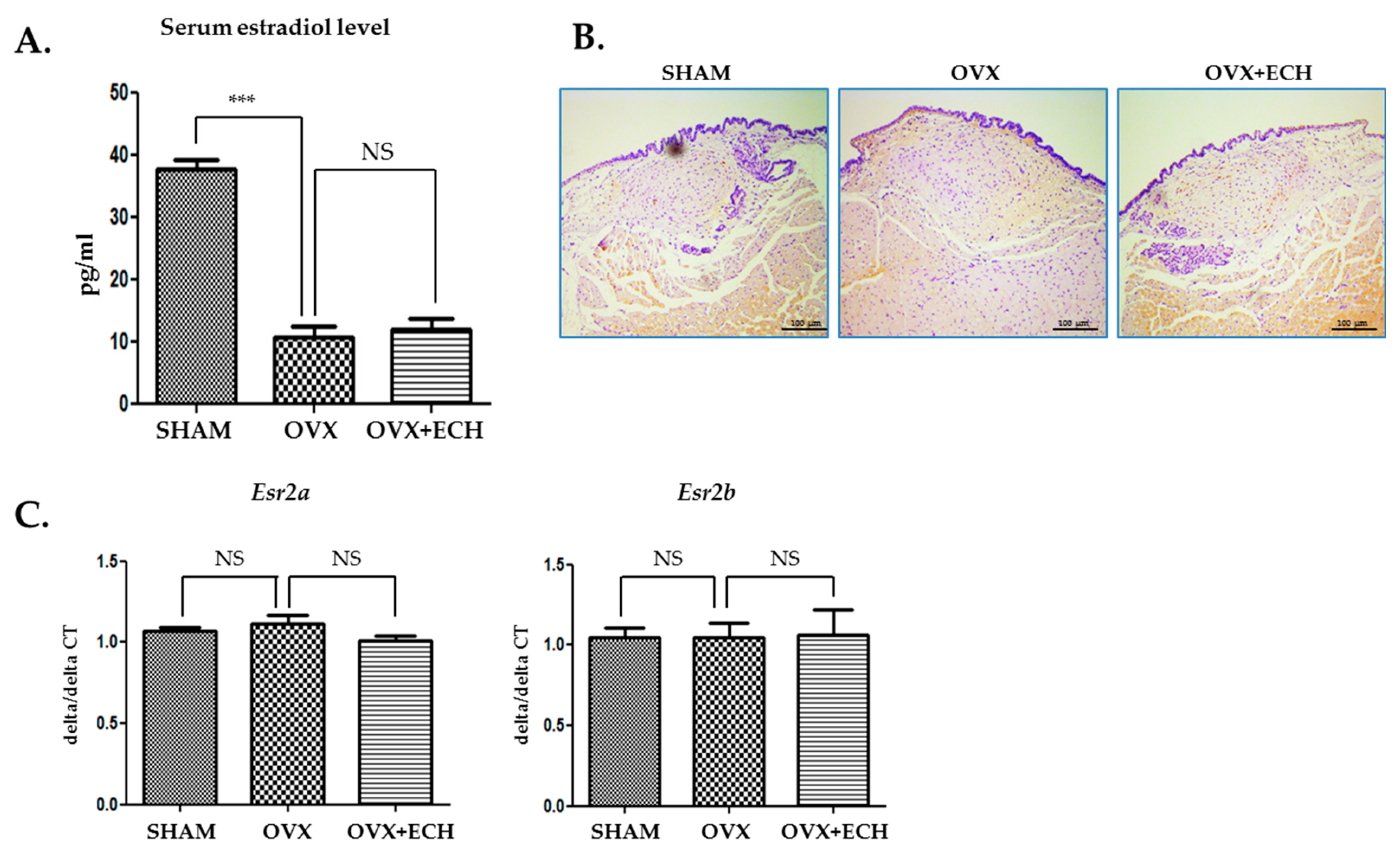 Marinedrugs 18 00077 g002