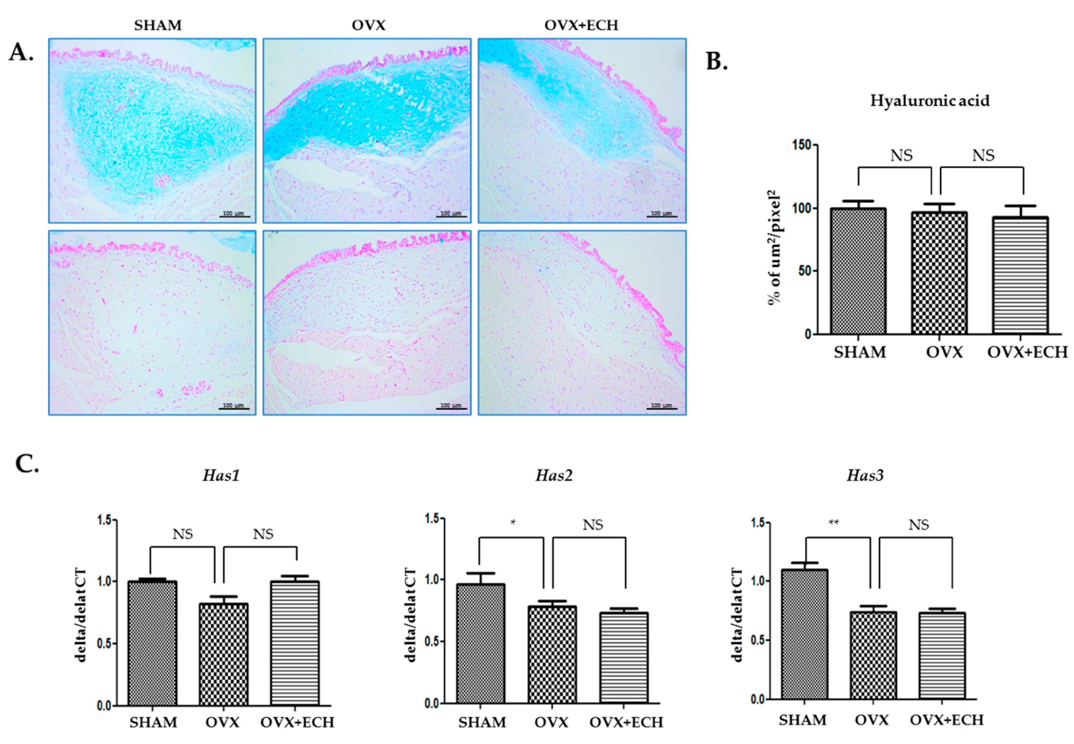Marinedrugs 18 00077 g003