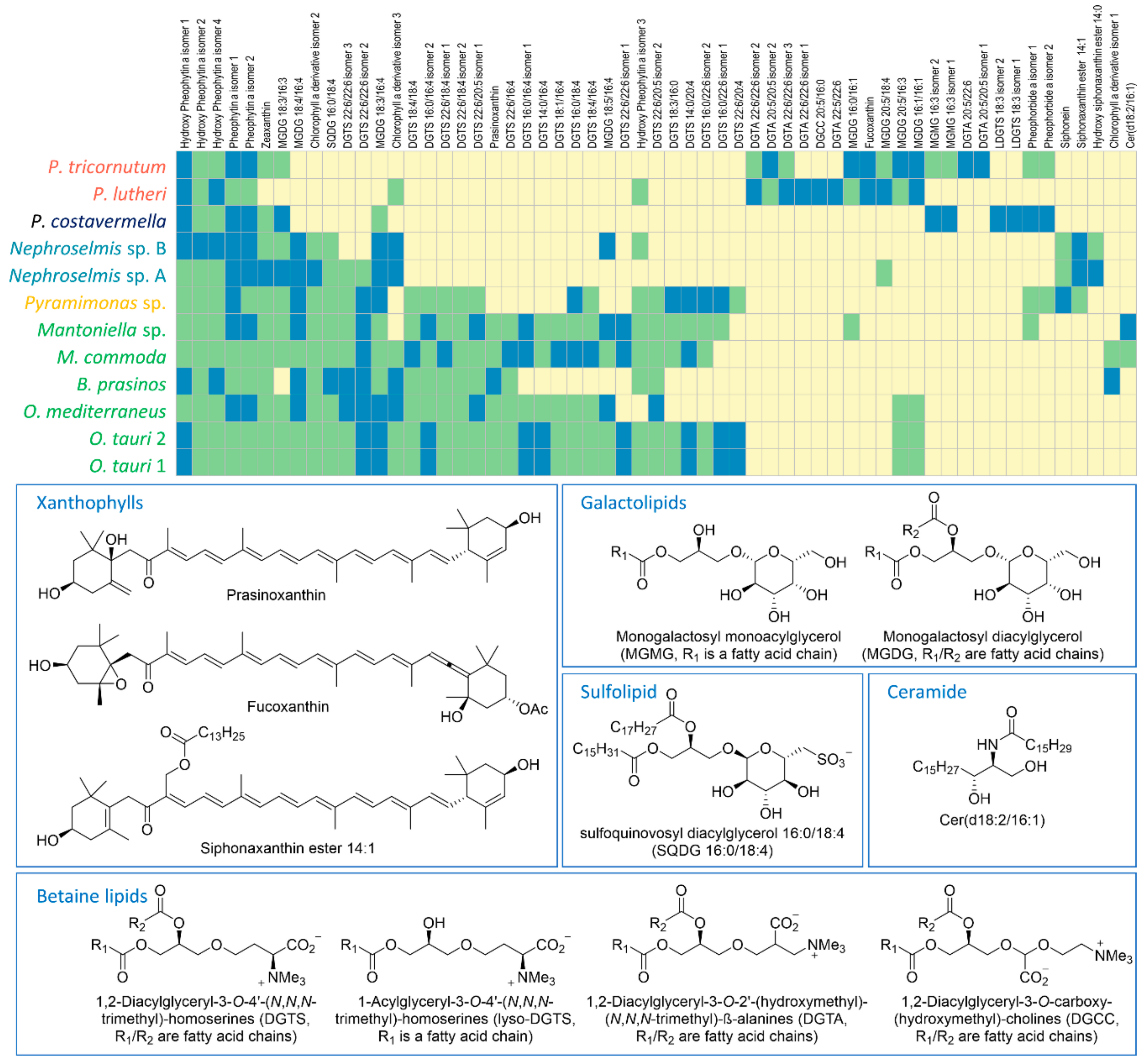 Marinedrugs 18 00078 g002 Marinedrugs 18 00078 g002