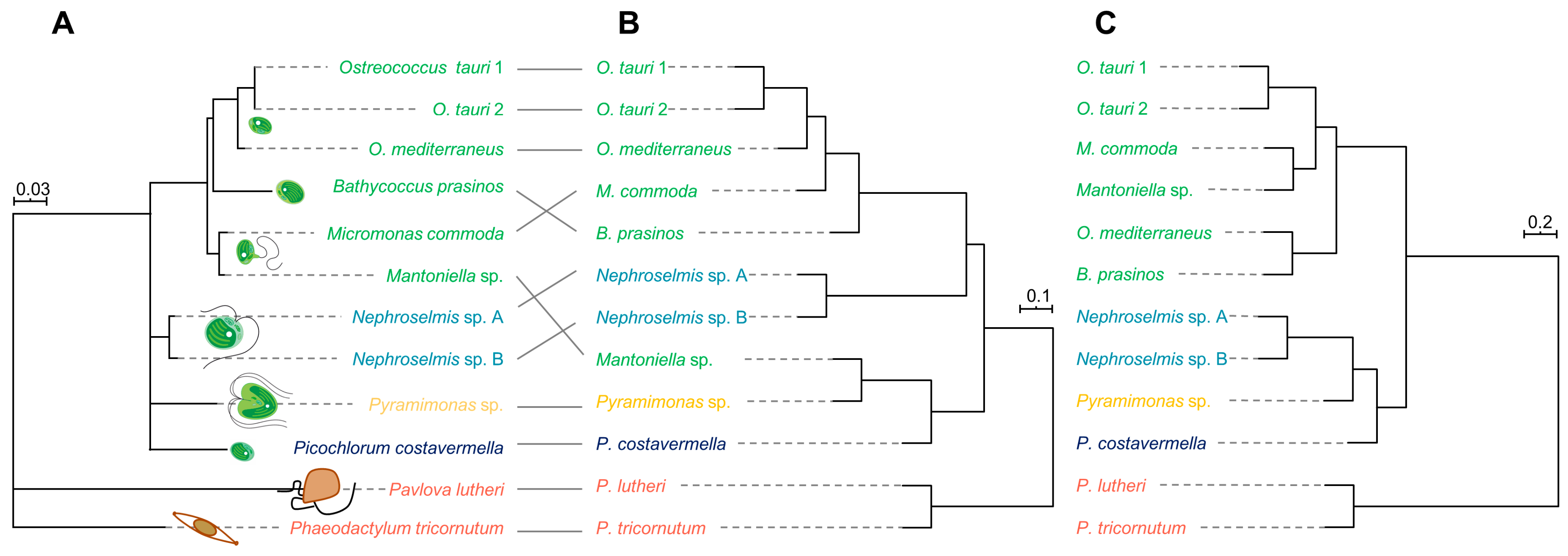 Marinedrugs 18 00078 g004 Marinedrugs 18 00078 g004