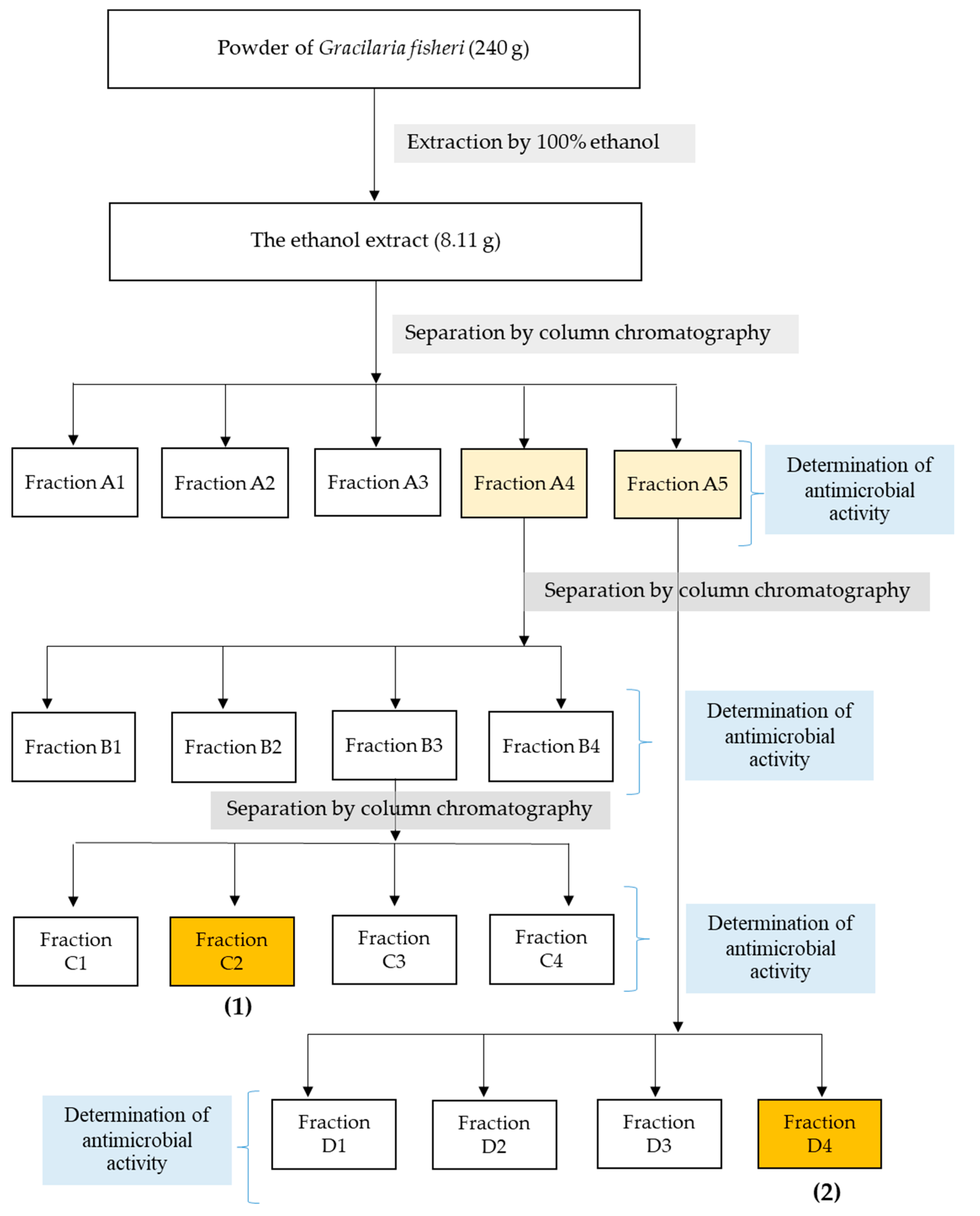 Marinedrugs 18 00080 g001