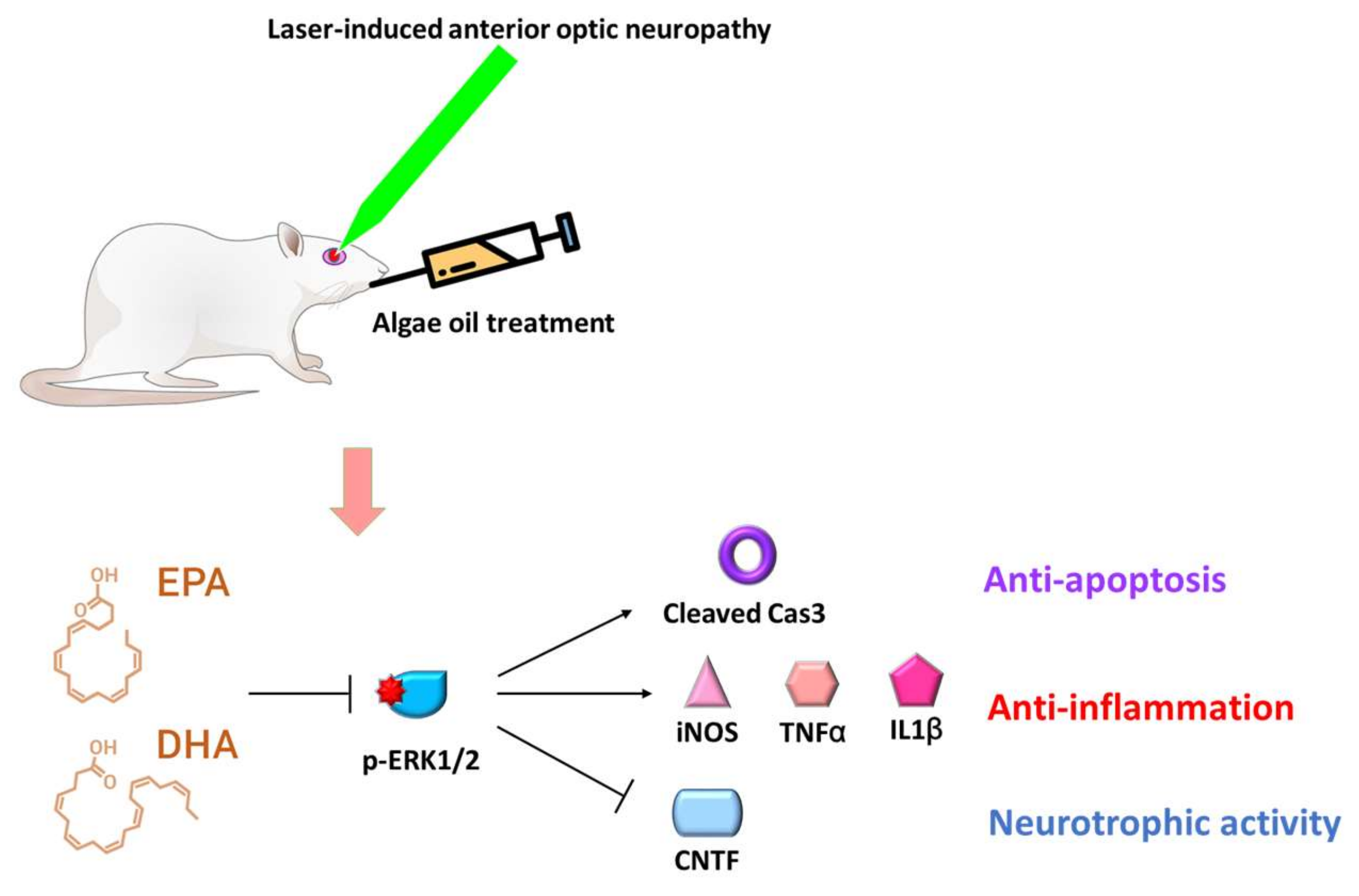 Marinedrugs 18 00083 g007