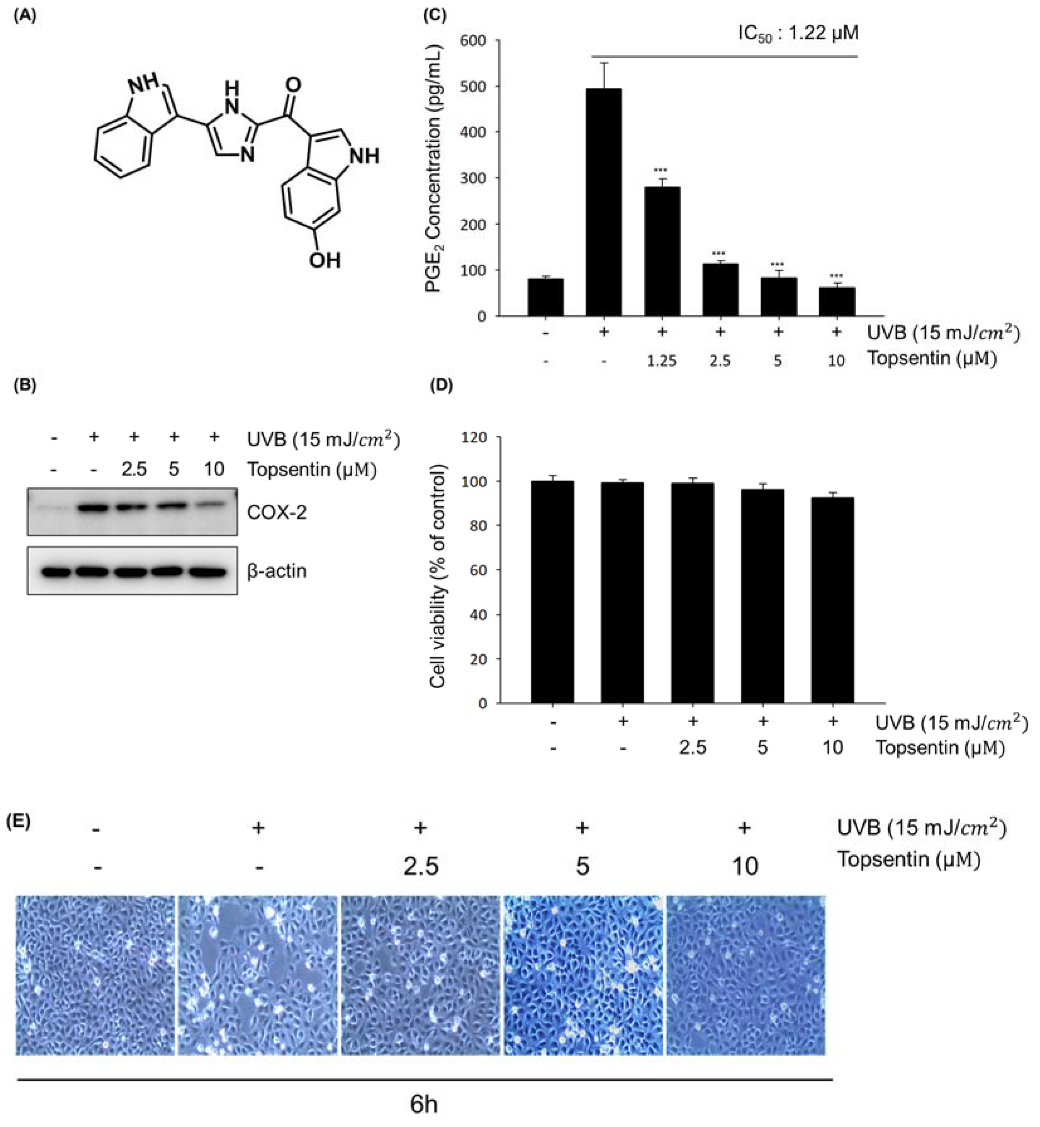 Marinedrugs 18 00087 g001