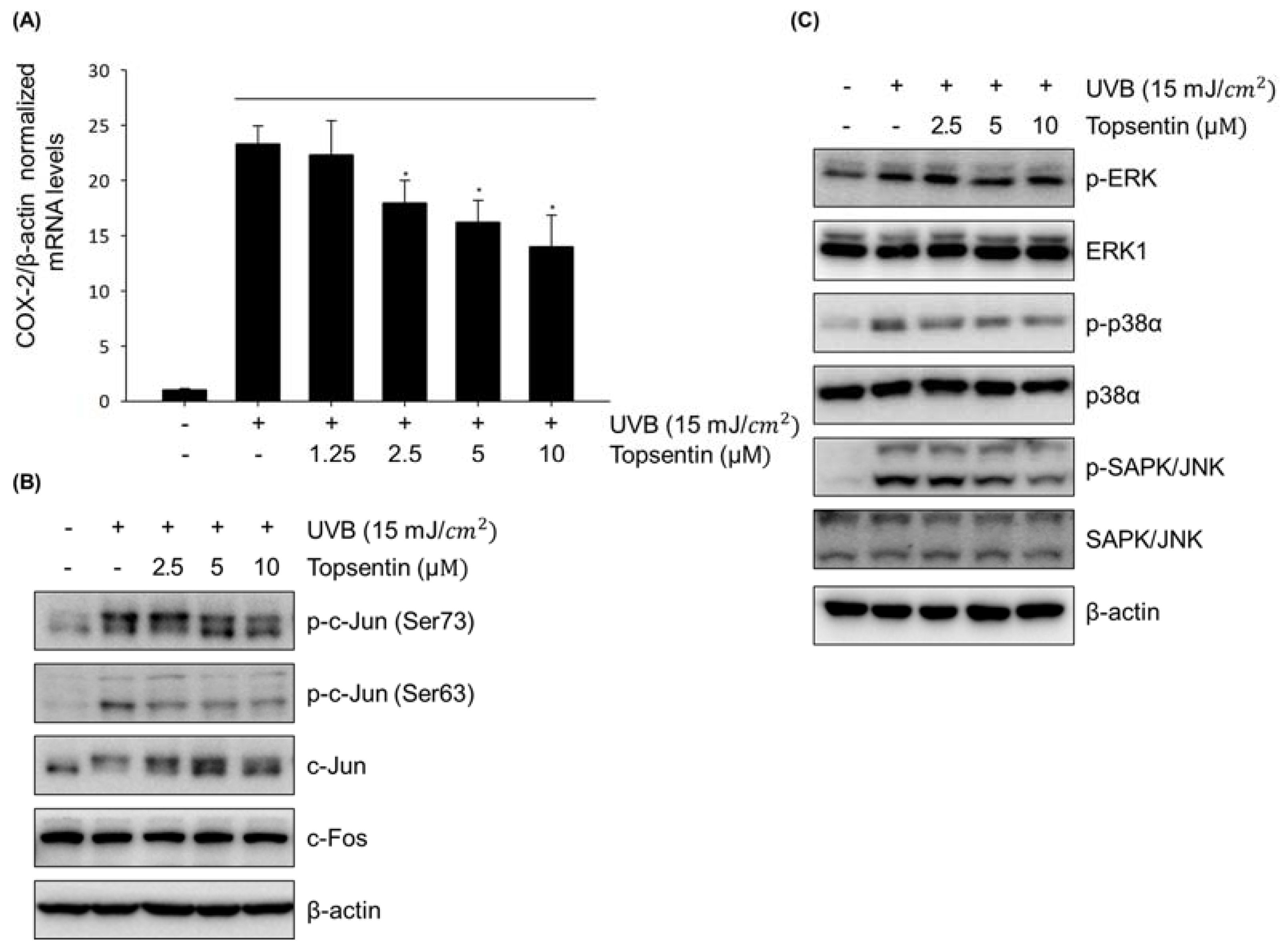 Marinedrugs 18 00087 g002