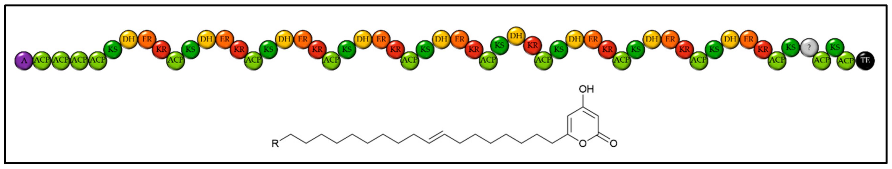 Marinedrugs 18 00090 g002