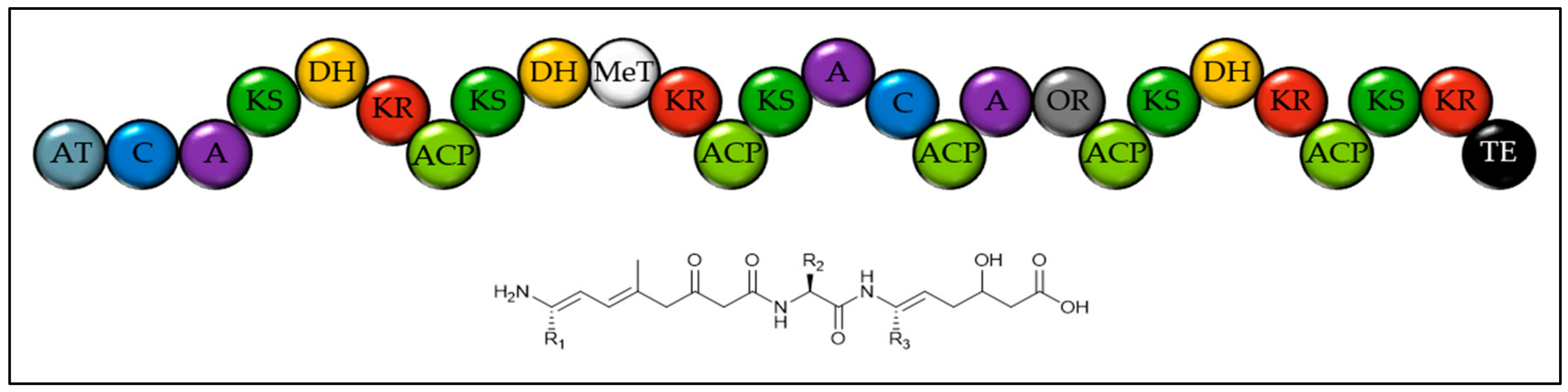 Marinedrugs 18 00090 g005