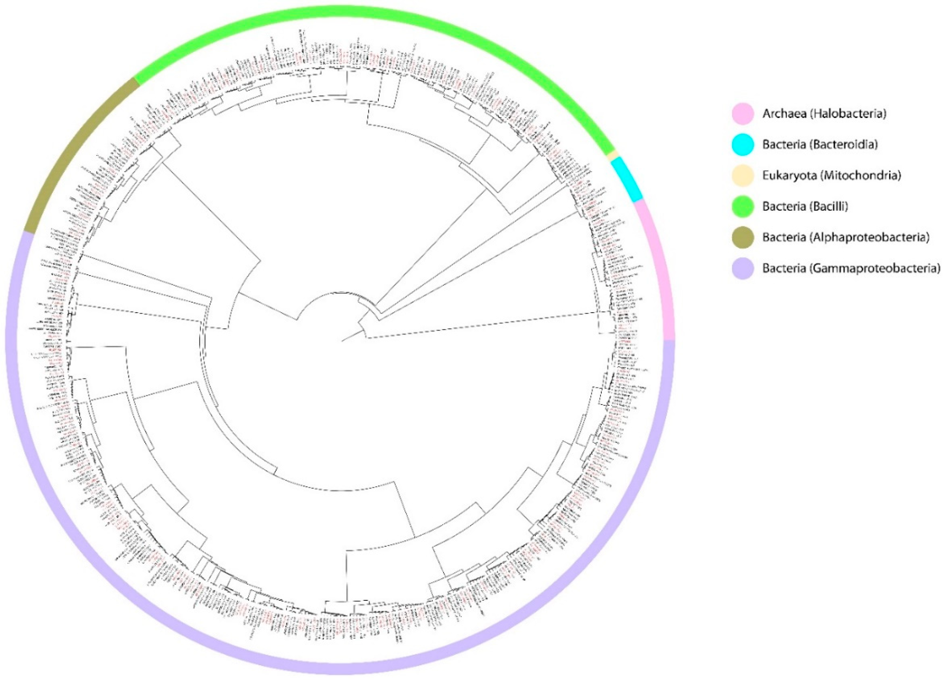 Marinedrugs 18 00091 g003 Marinedrugs 18 00091 g003