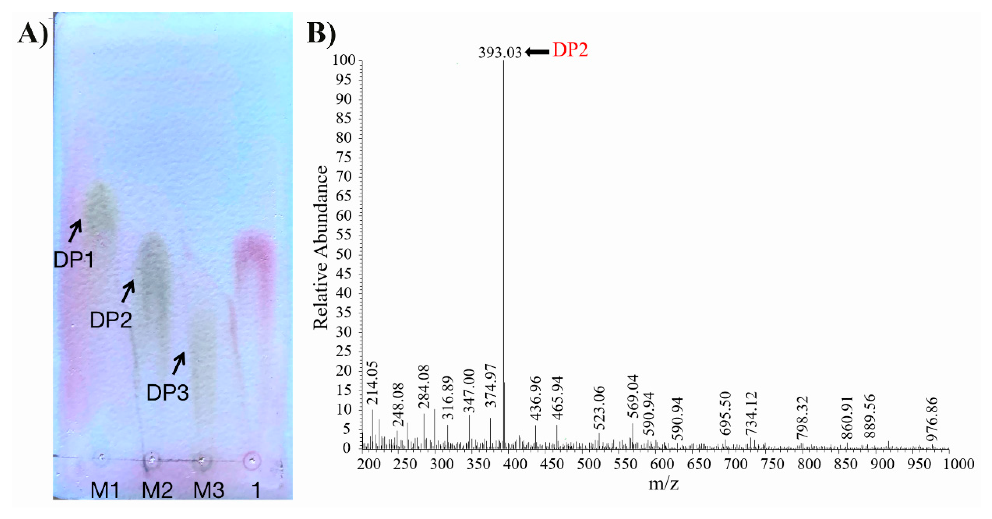 Marinedrugs 18 00095 g004 Marinedrugs 18 00095 g004