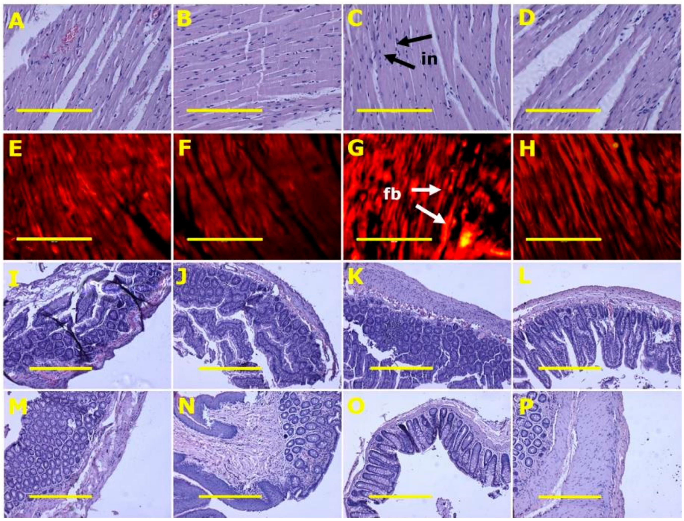 Marinedrugs 18 00097 g003