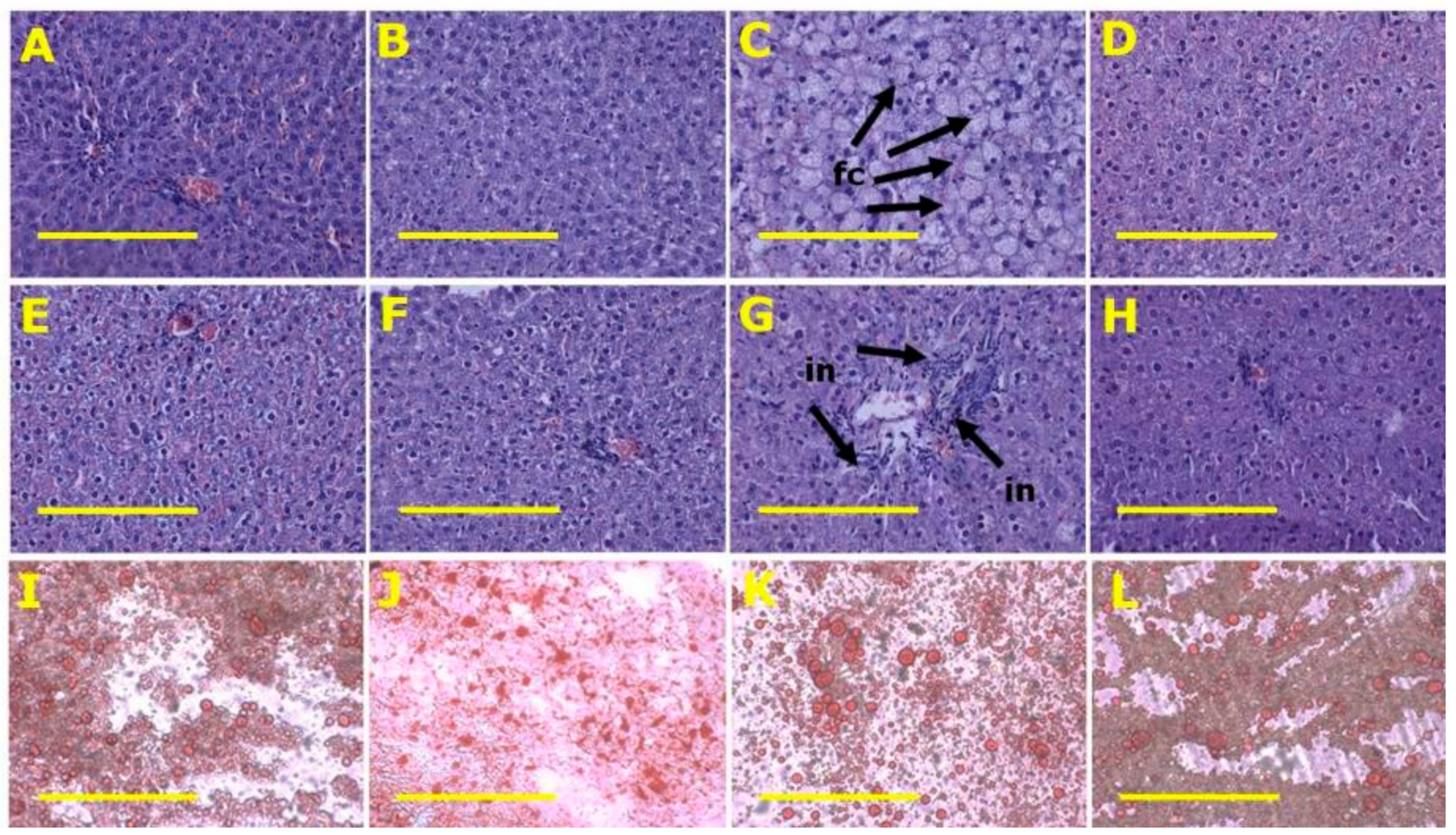 Marinedrugs 18 00097 g004