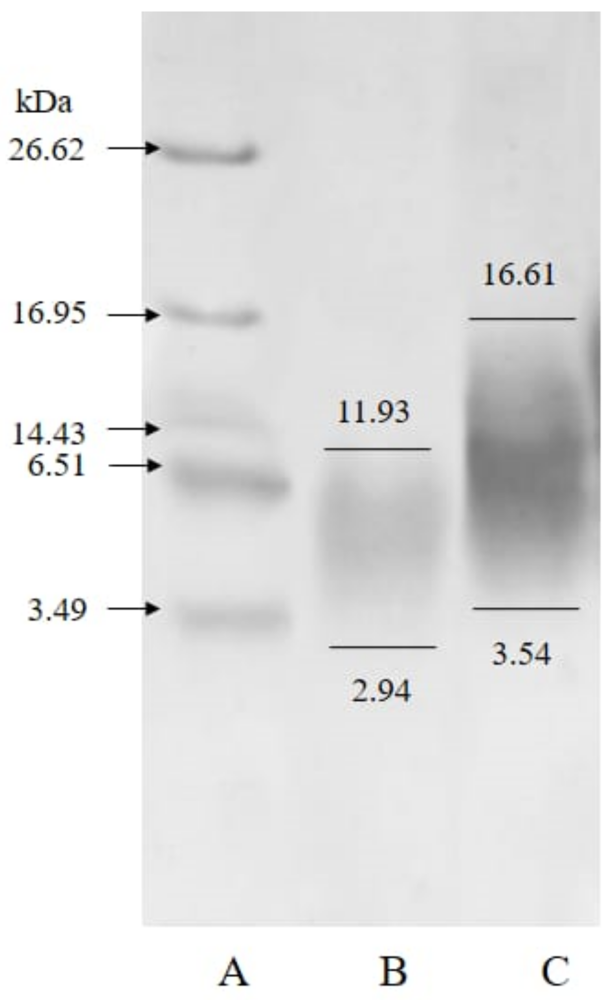 Marinedrugs 18 00098 g002