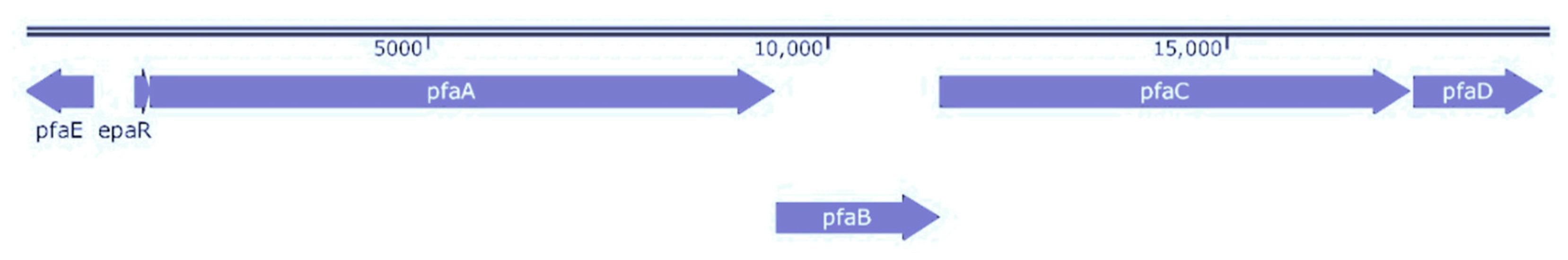 Marinedrugs 18 00099 g003