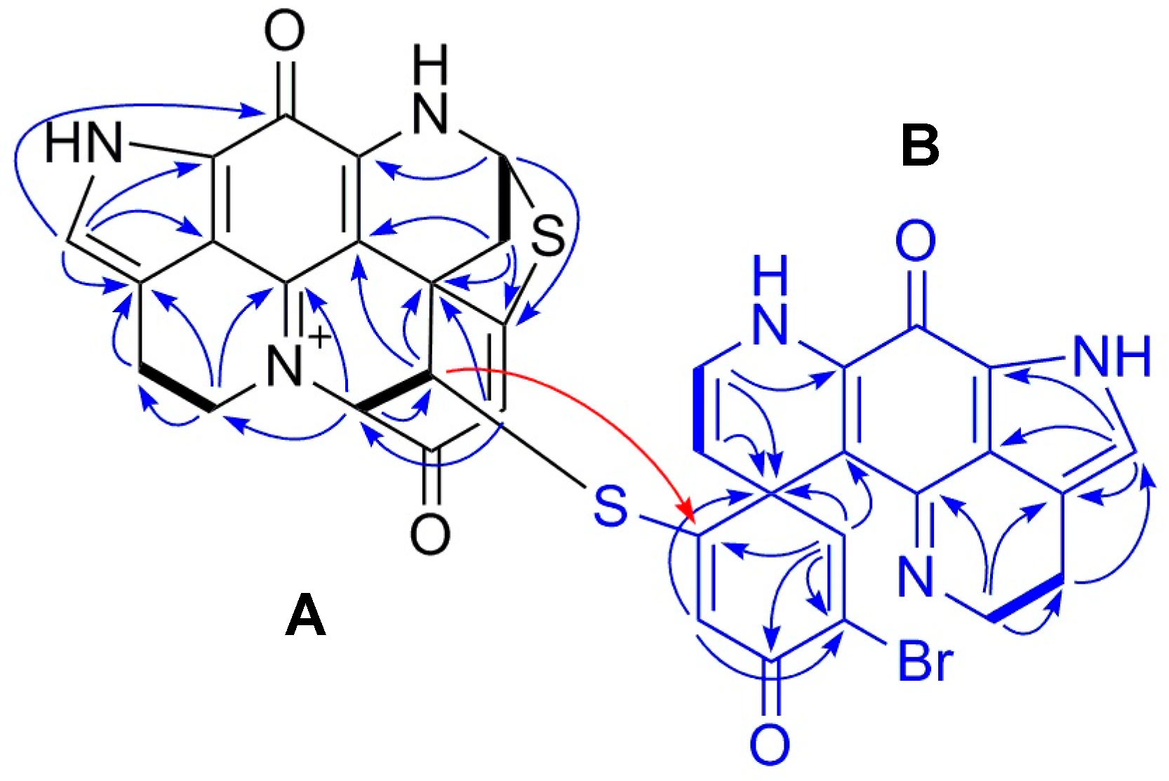 Marinedrugs 18 00107 g002