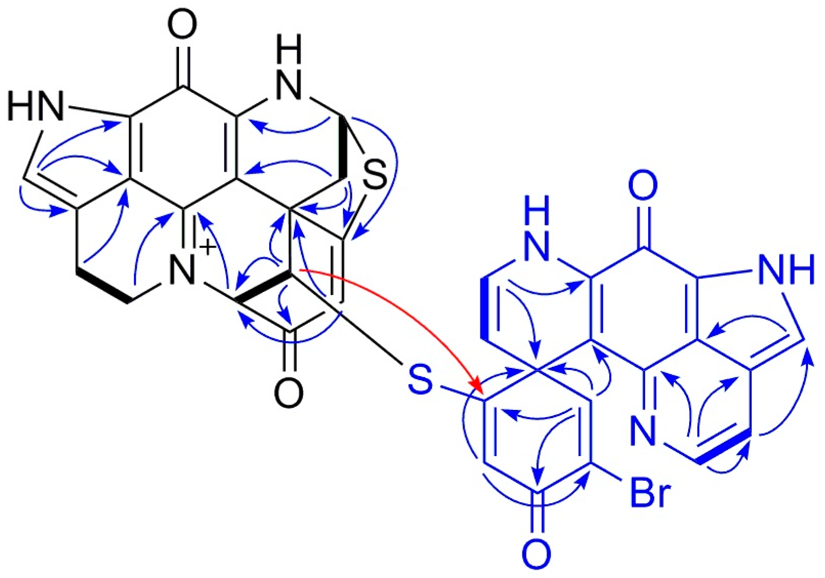 Marinedrugs 18 00107 g005