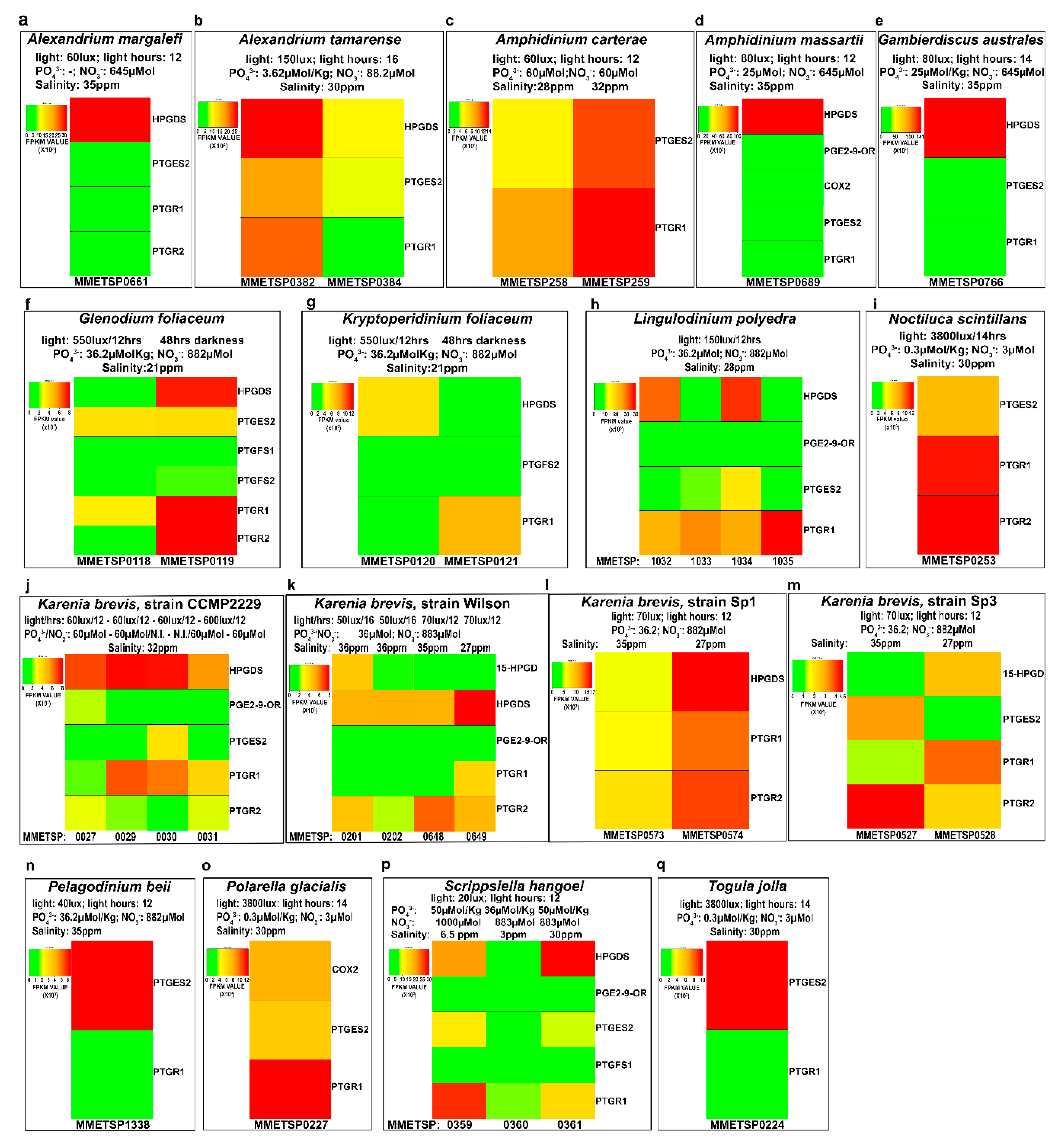 Marinedrugs 18 00109 g003