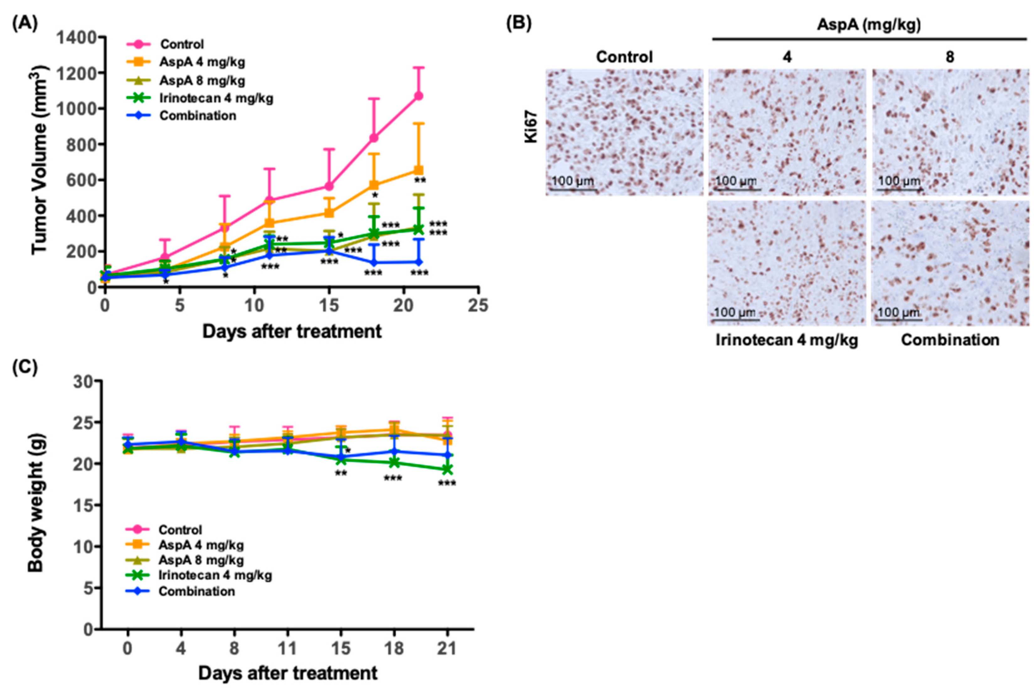 Marinedrugs 18 00110 g005 Marinedrugs 18 00110 g005
