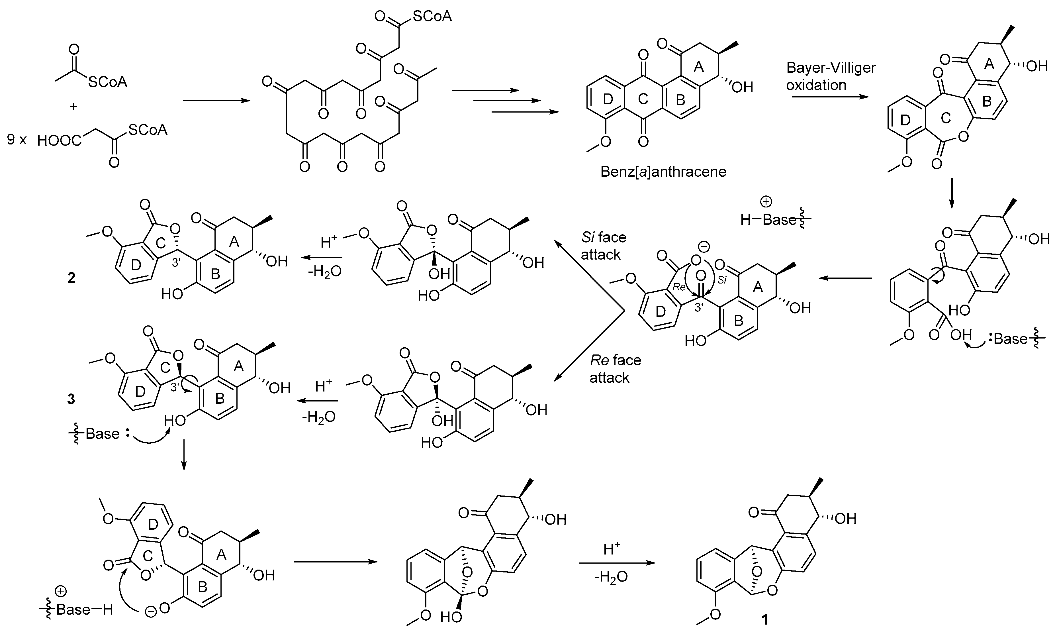 Marine Drugs Free Full Text Donghaecyclinones A C New Cytotoxic Rearranged Angucyclinones From A Volcanic Island Derived Marine Streptomyces Sp Html Marine Drugs Free Full Text Donghaecyclinones A C New Cytotoxic Rearranged Angucyclinones From A Volcanic Island Derived Marine Streptomyces Sp Html